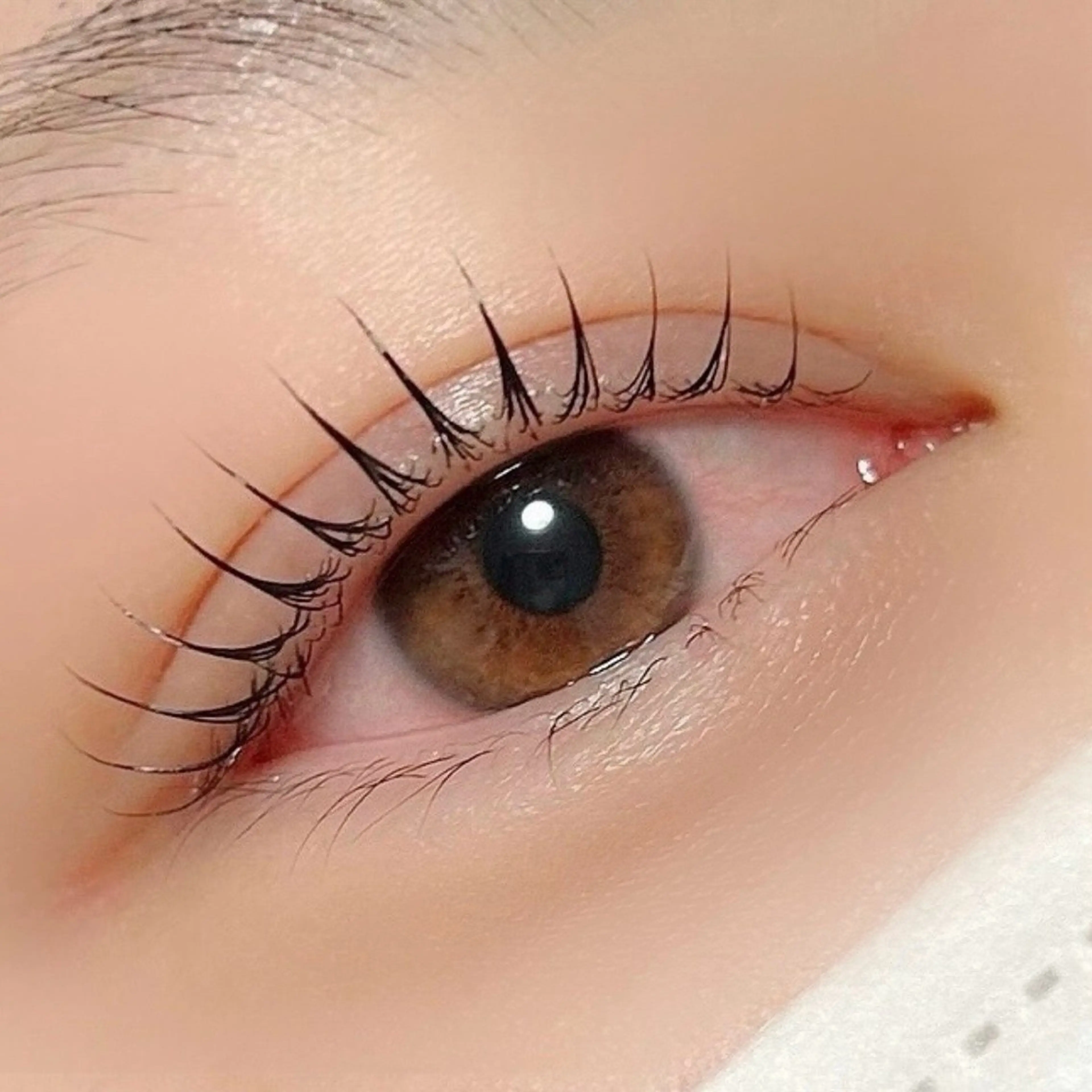 マツエク・マツパ マツパ 京橋/束感まつ毛& LED🦋藤本加奈のマツエク・マツパデザイン