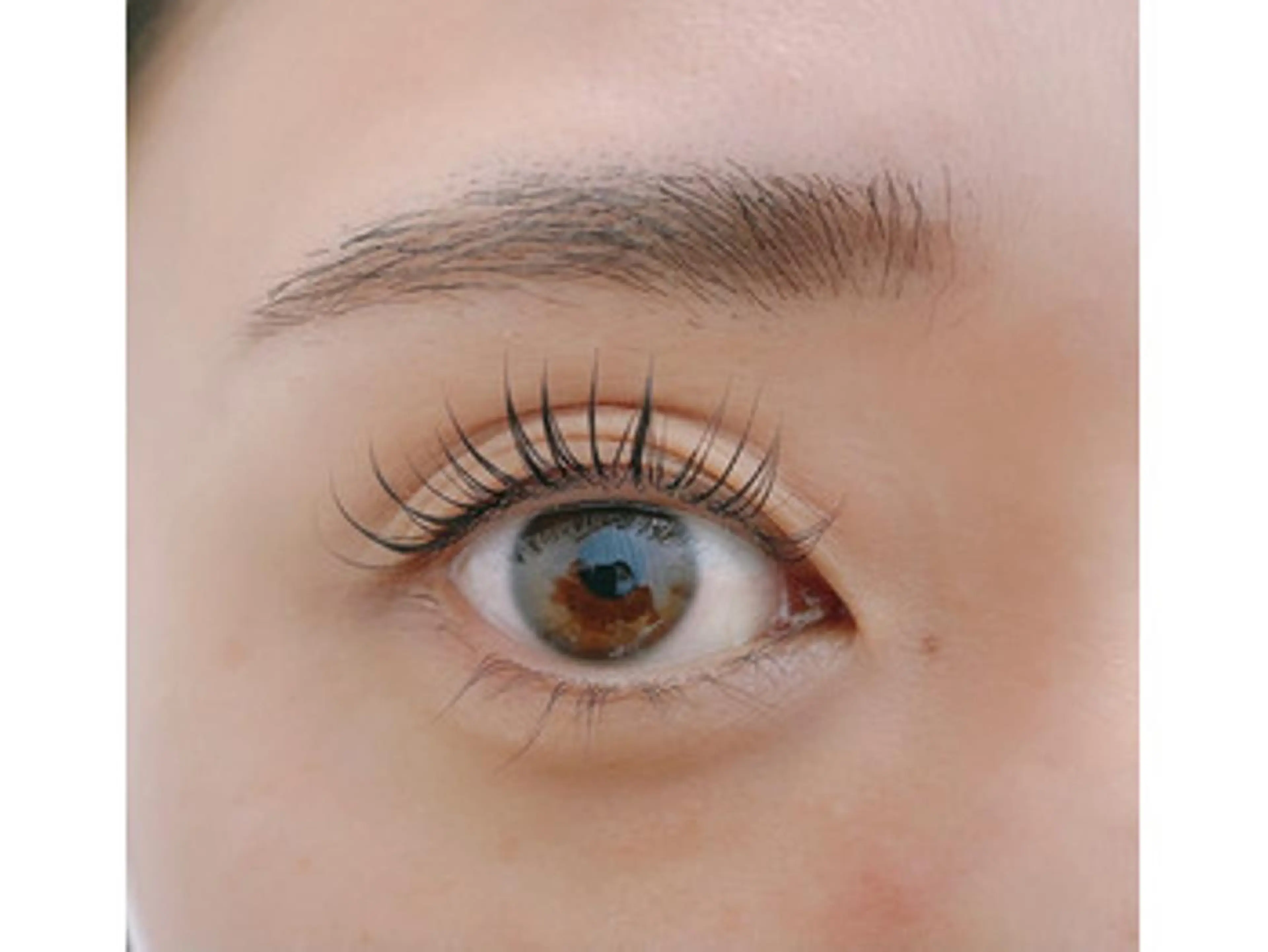 【ご新規様限定🌸】アイブロウwax脱毛+まつ毛パーマ(上)60分¥6660の写真