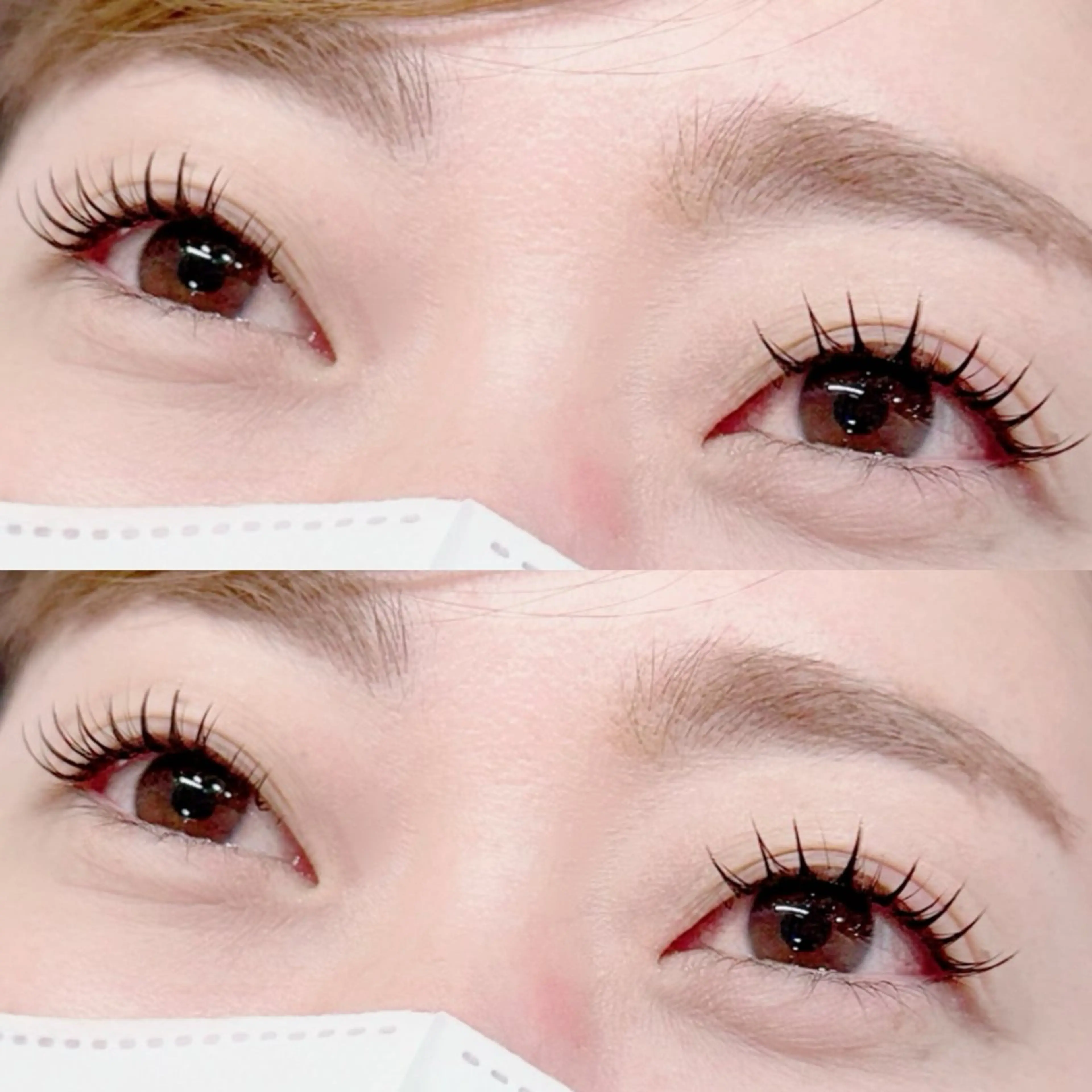 ❣️特別価格❣️🌸新メニュー🌸アンドヘルシー120本（LEDフラットラッシュ込み）今だけオフ無料✨✨🤍の写真