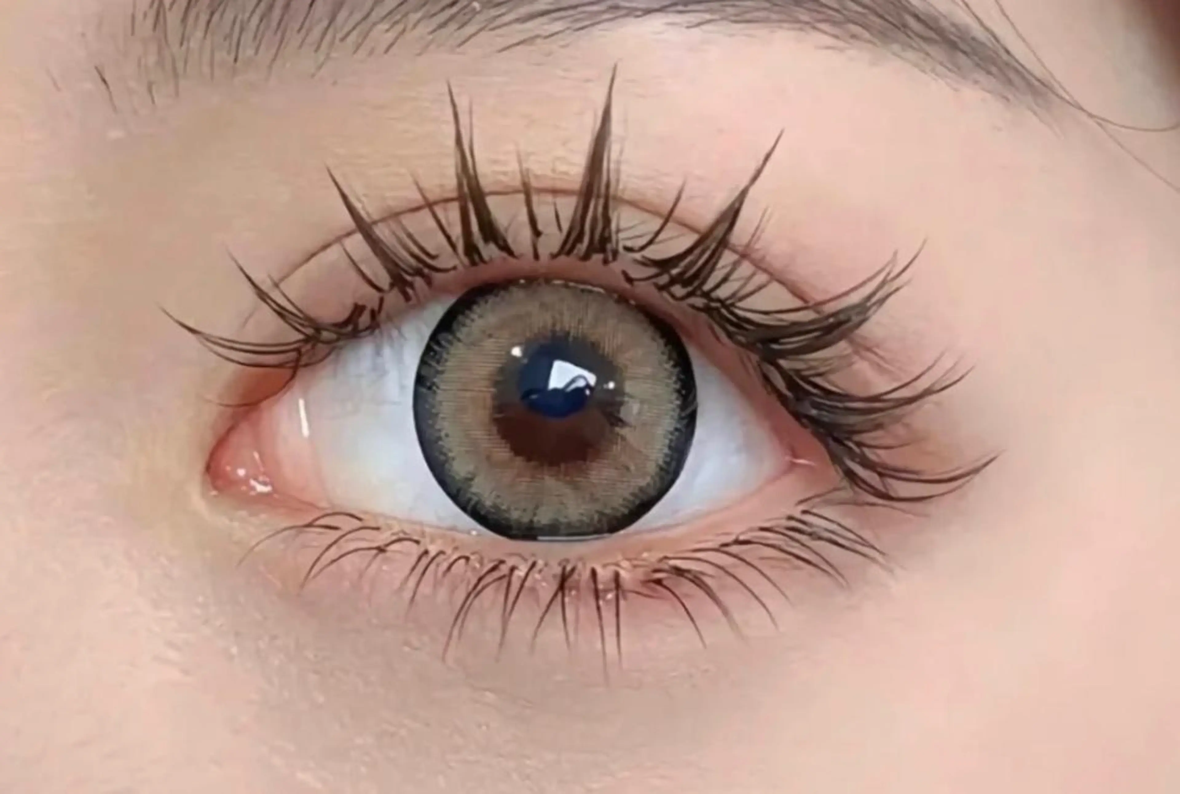 今流行り♫ワンホンデザイン　漫画系マツエク¥7000     コーディング剤付き🎵の写真