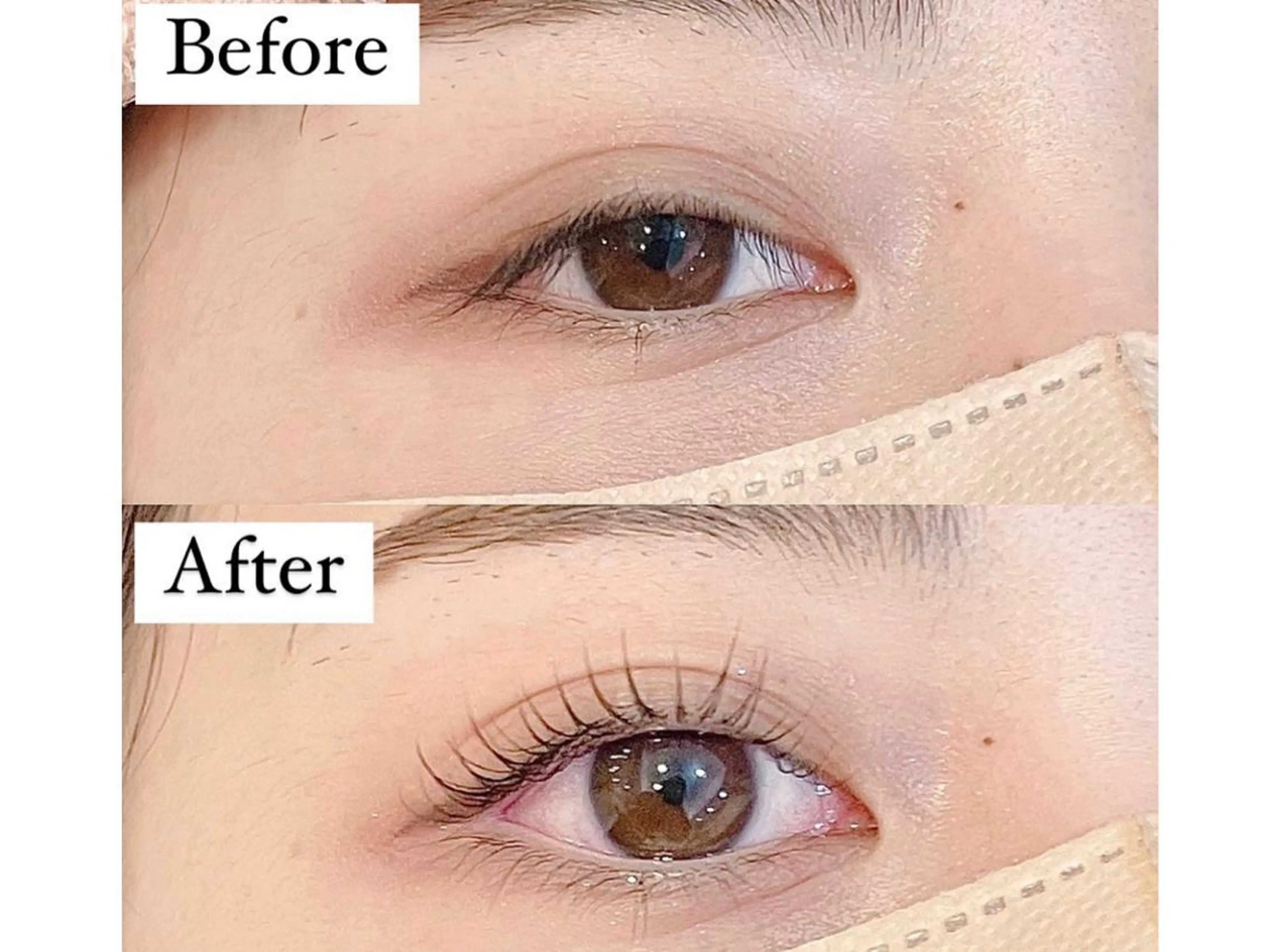 【新規】まつ毛パーマ　3980円　【まつ毛美容液+500円(保湿.修復効果)】の写真