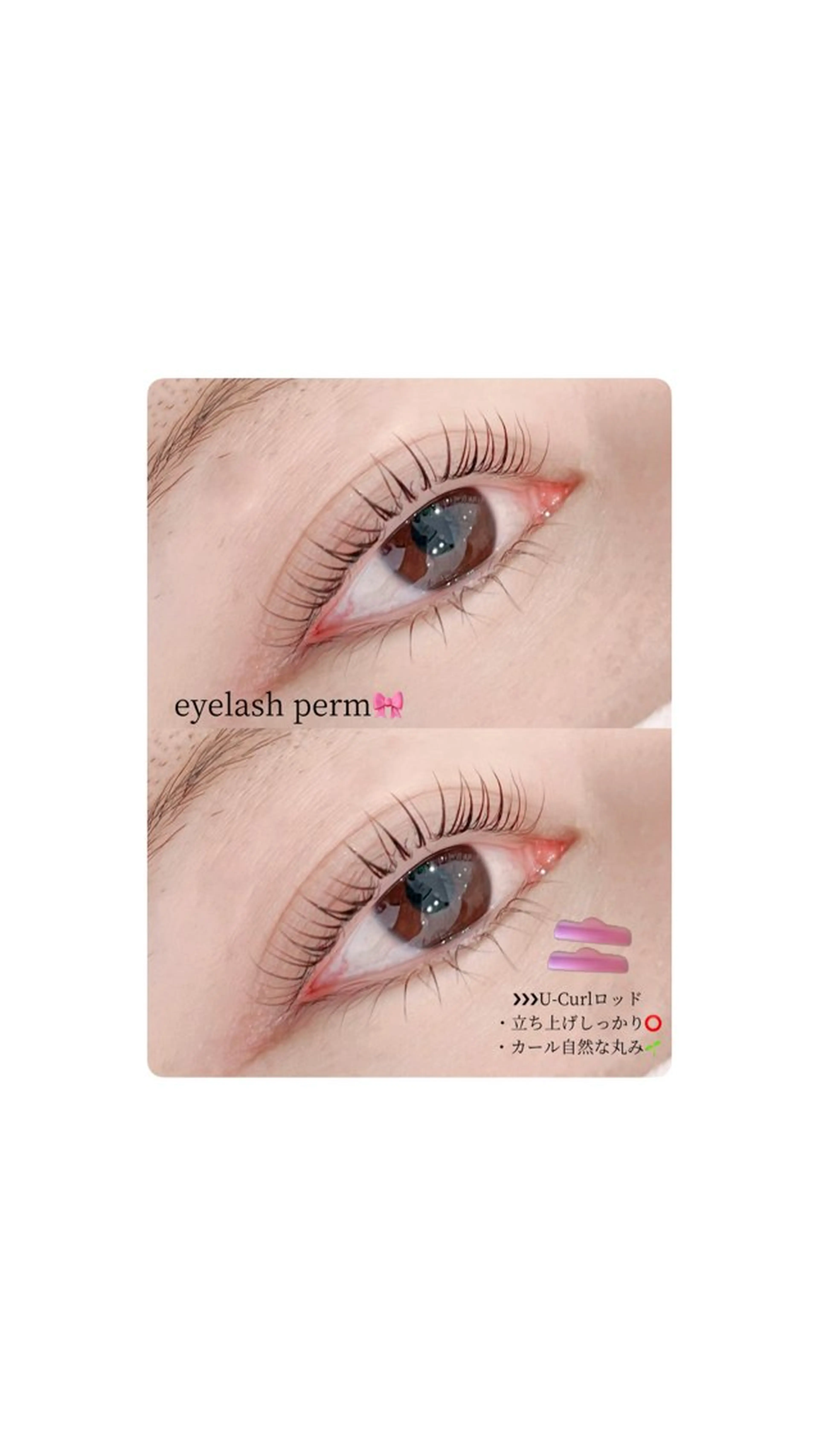 当日予約限定価格♡まつげパーマの写真