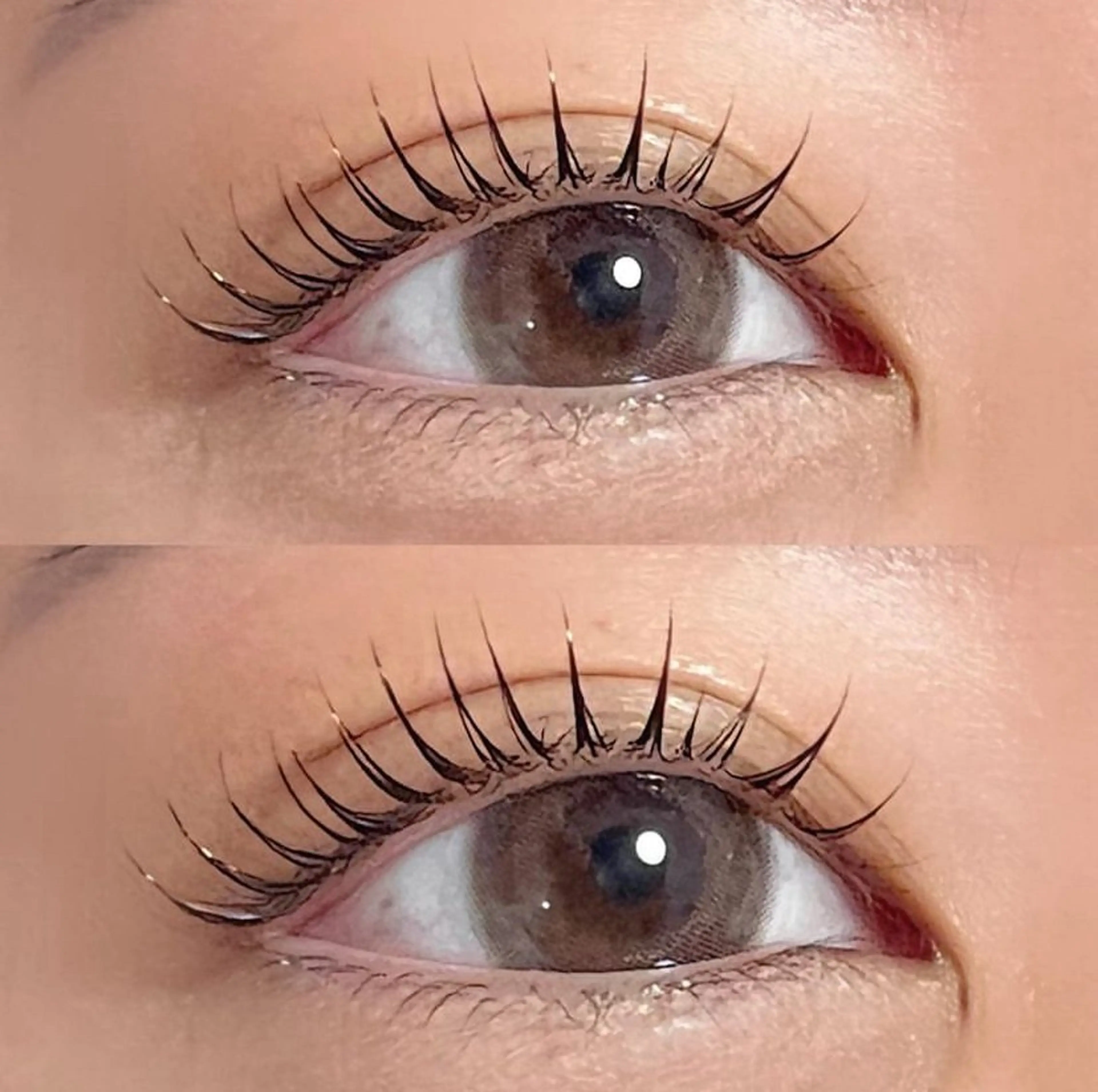 🩷まつ毛パーマ[ｹﾗﾁﾝTR付き/束感仕上げ]  ⚠︎詳細を必ずお読み下さいの写真