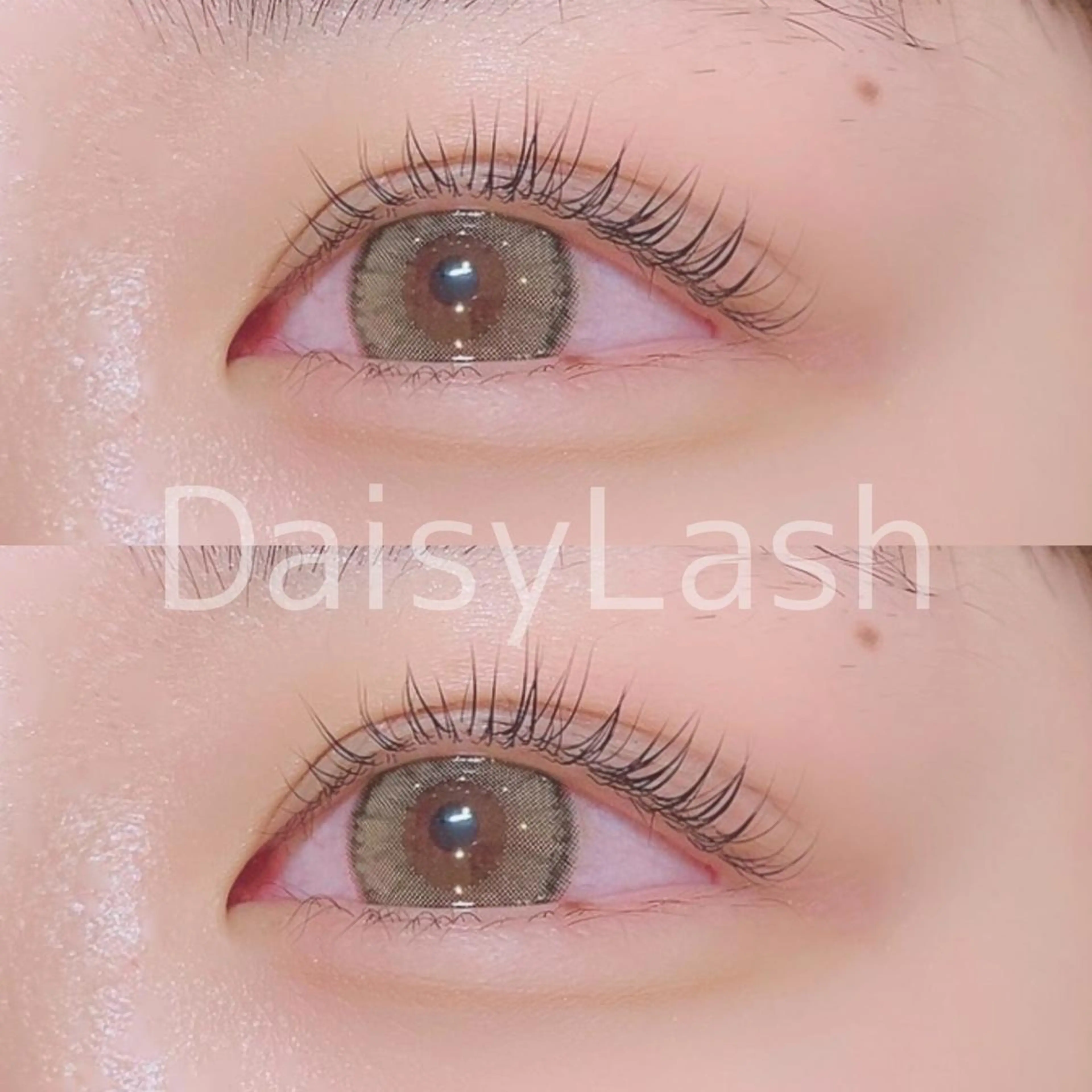 マツエク・マツパ DaisyLash 京橋店のマツエク・マツパデザイン