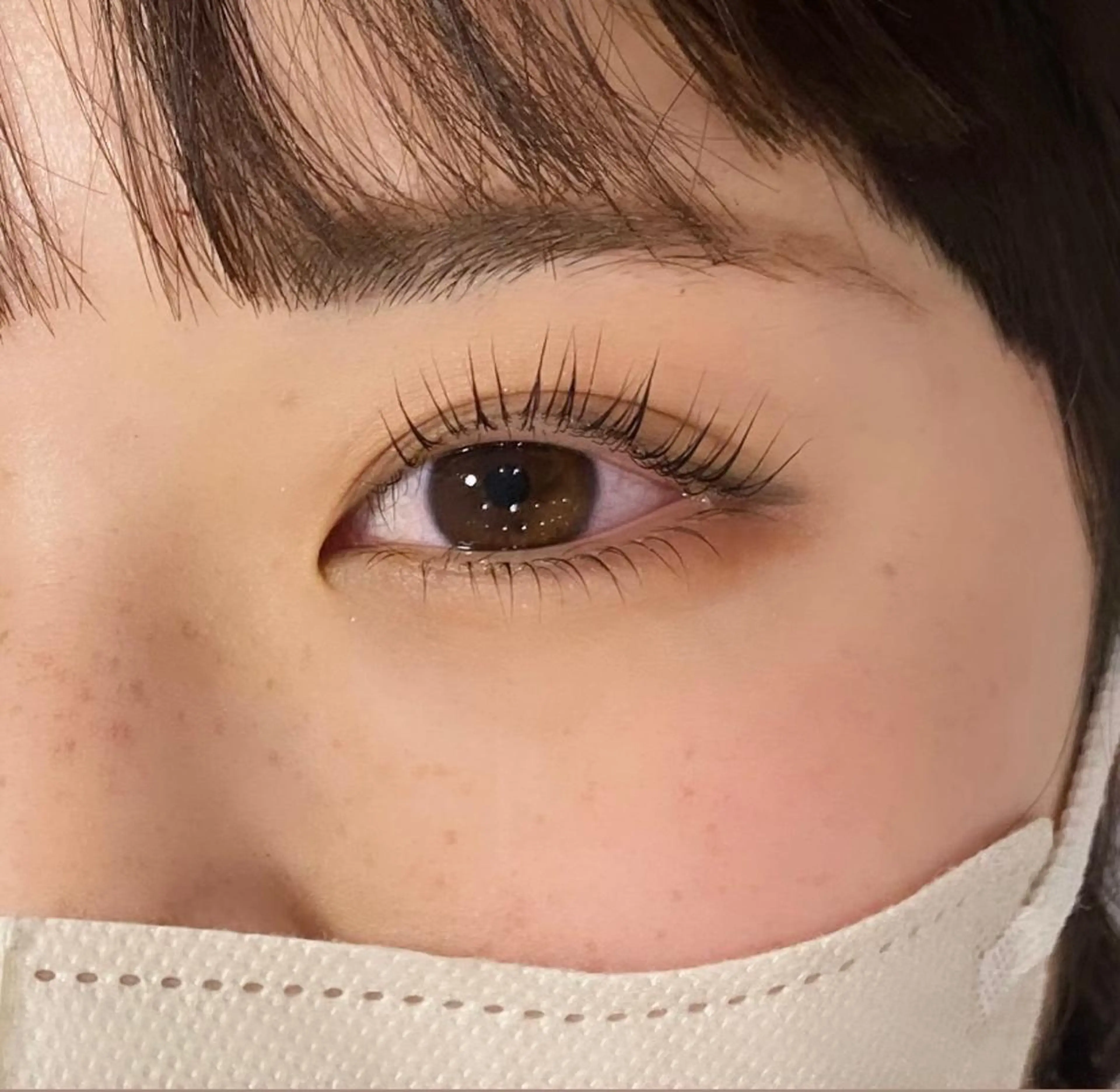 💫パリジェンヌor選べるまつげパーマ上下💫¥4.980の写真