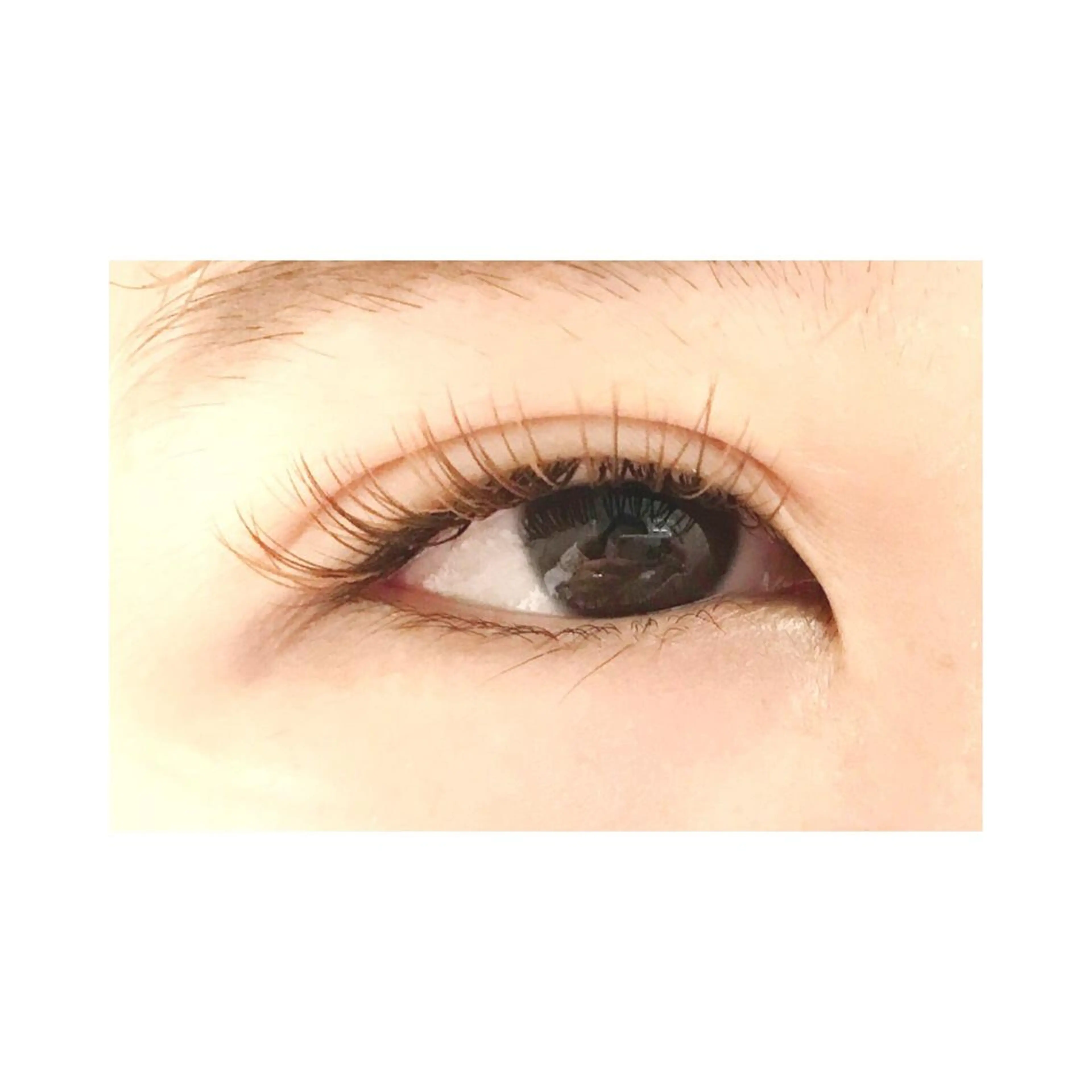 マツエク・マツパ カラーマツエク Cheri所属・きし かりんの眉毛・アイブロウイメージ