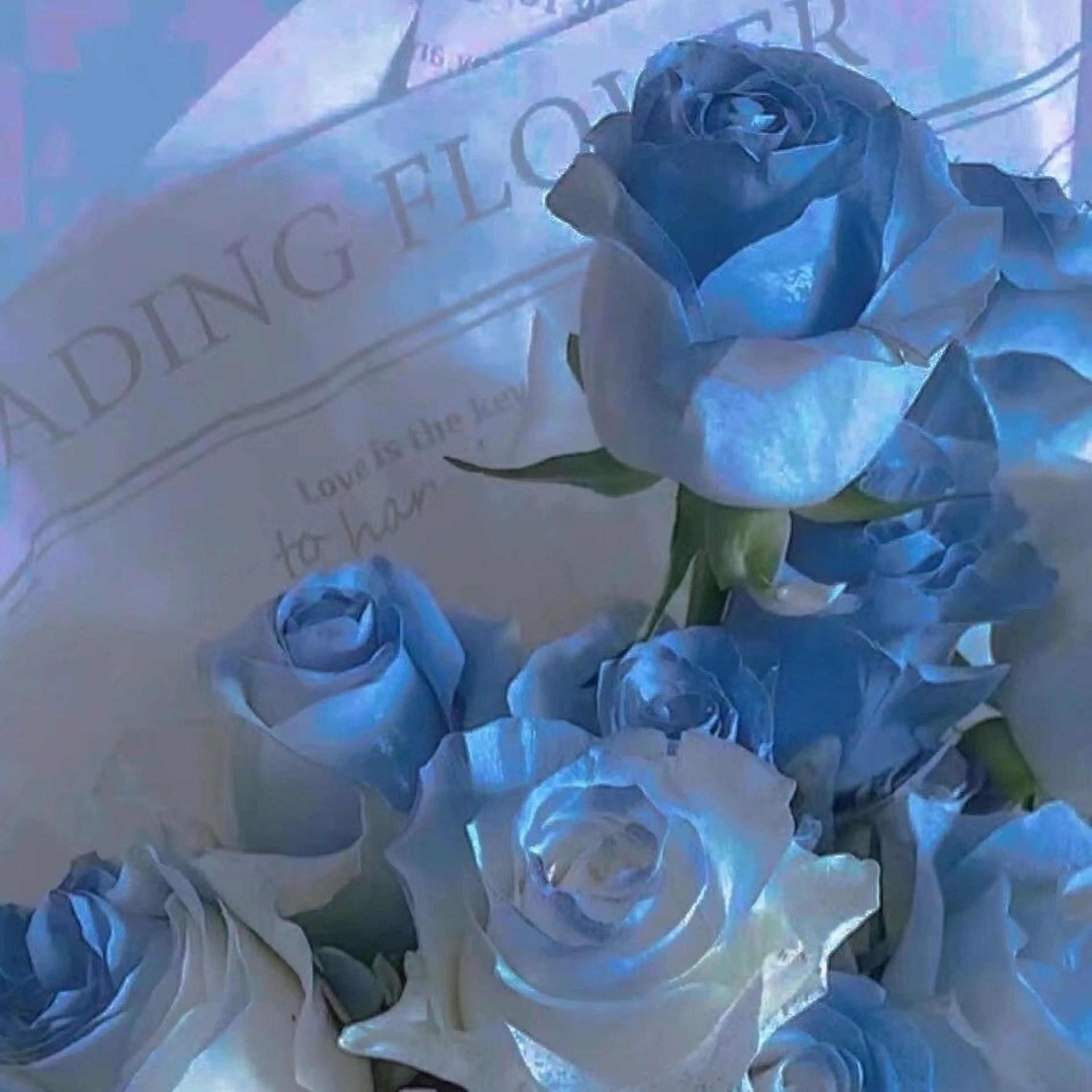 丸山 知夏のマツエク・マツパデザイン