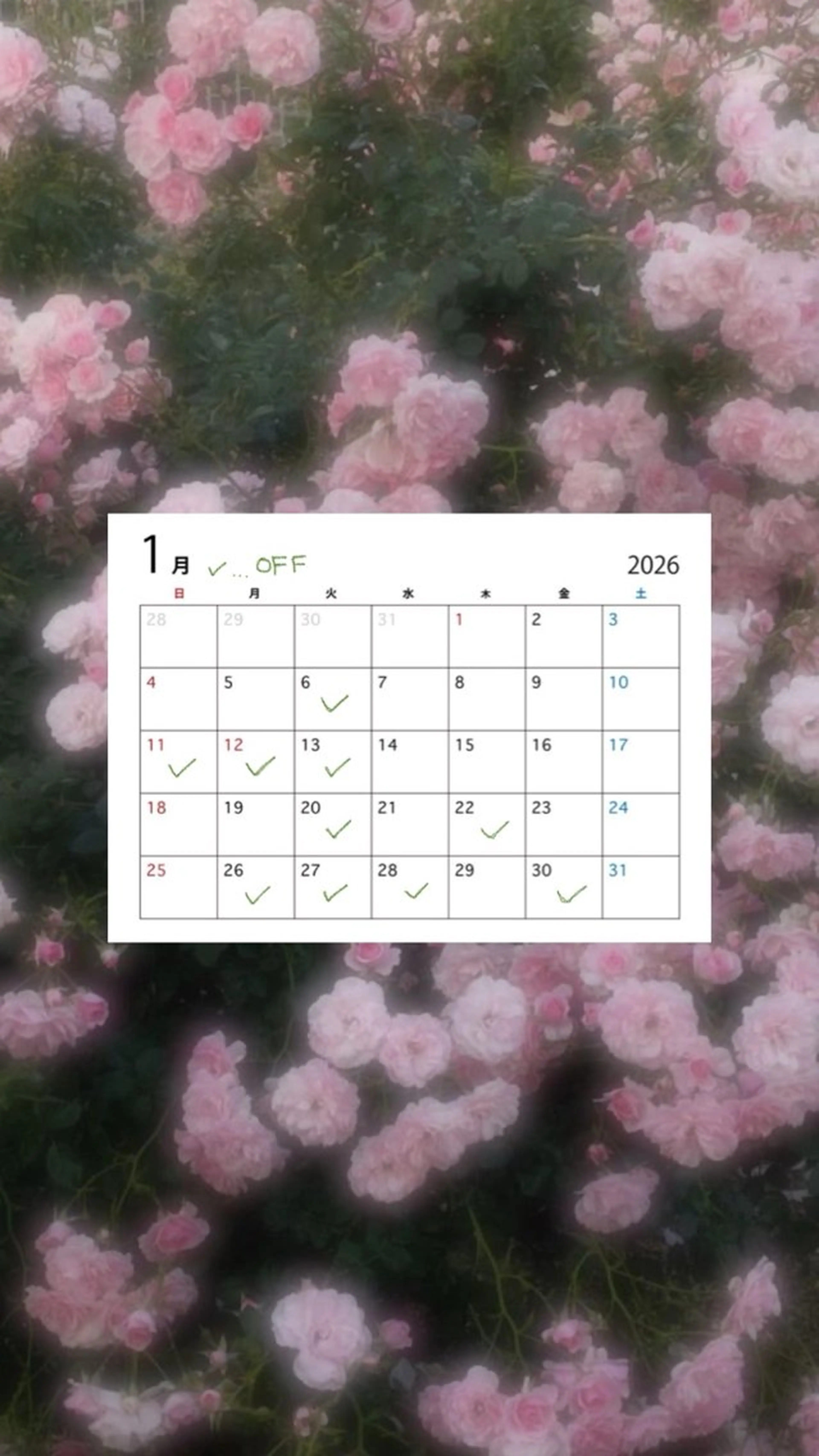 カラー ヘアカラー トリートメント uni/haruhi ☀️透明感カラーのヘアスタイル