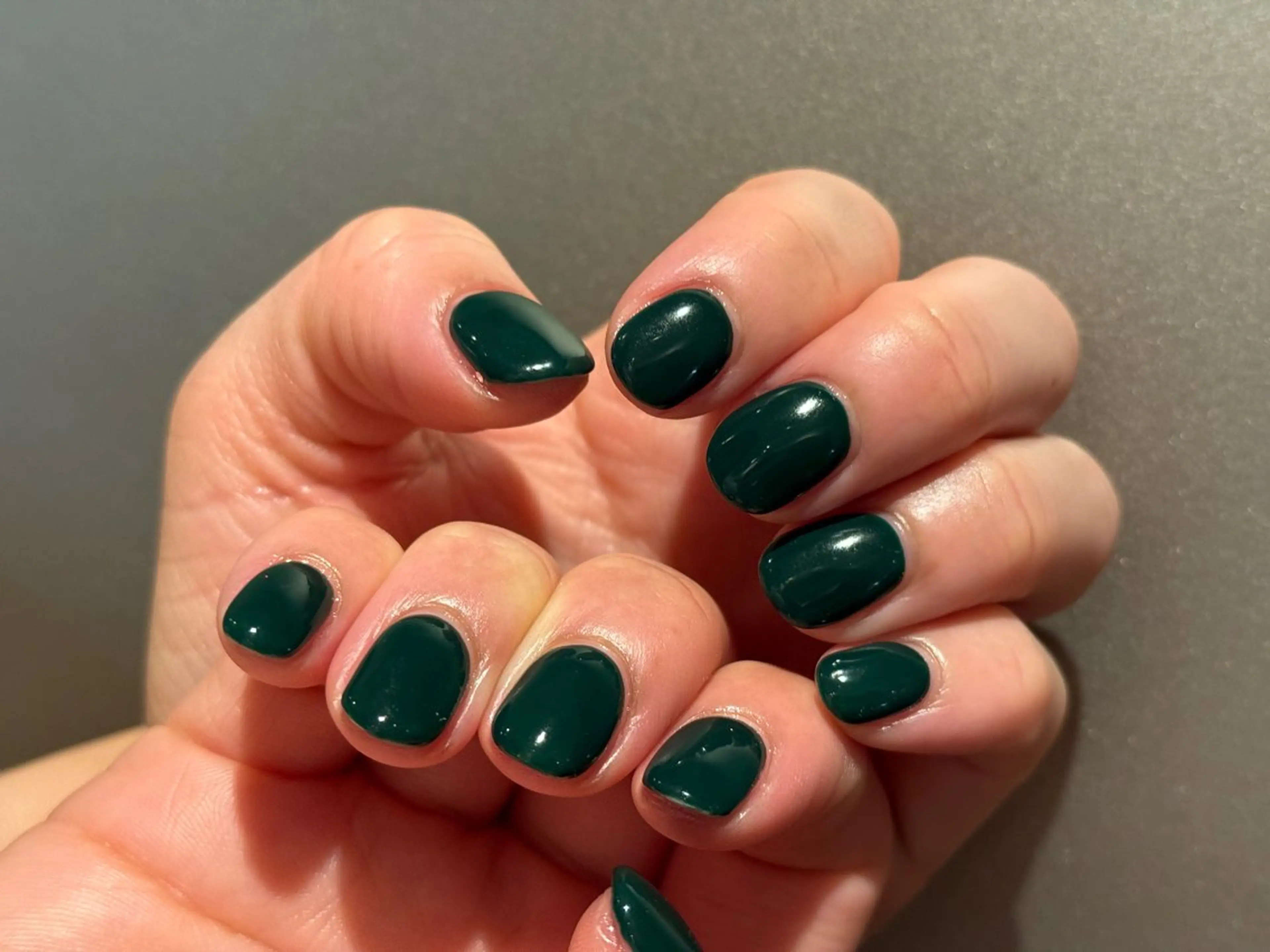 ワンカラー(オフなし)の写真