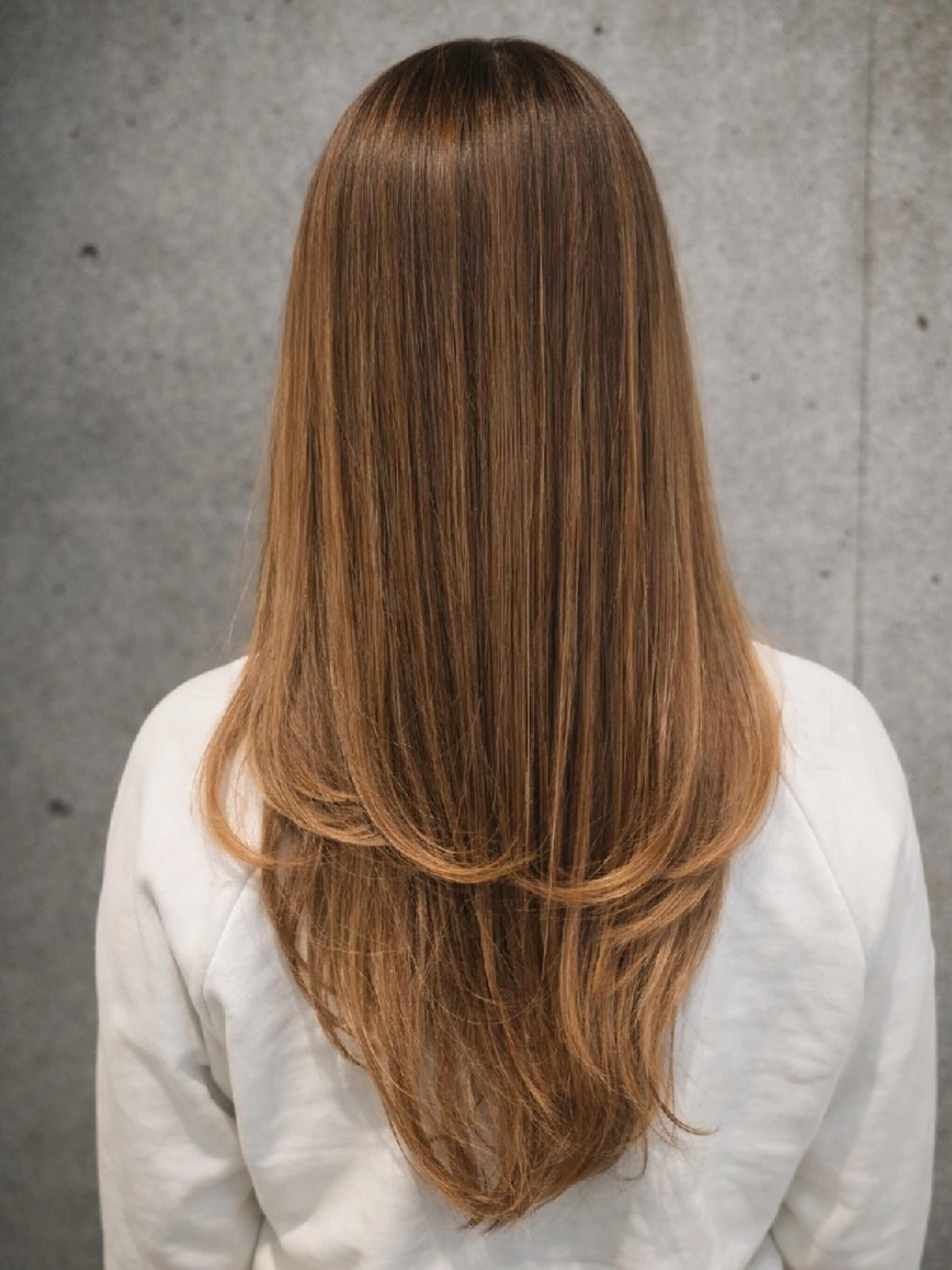 ロング カラー ハイライトカラー ハイライト 姫カット レイヤーカット terra✂️川嶋 大輔のヘアスタイル