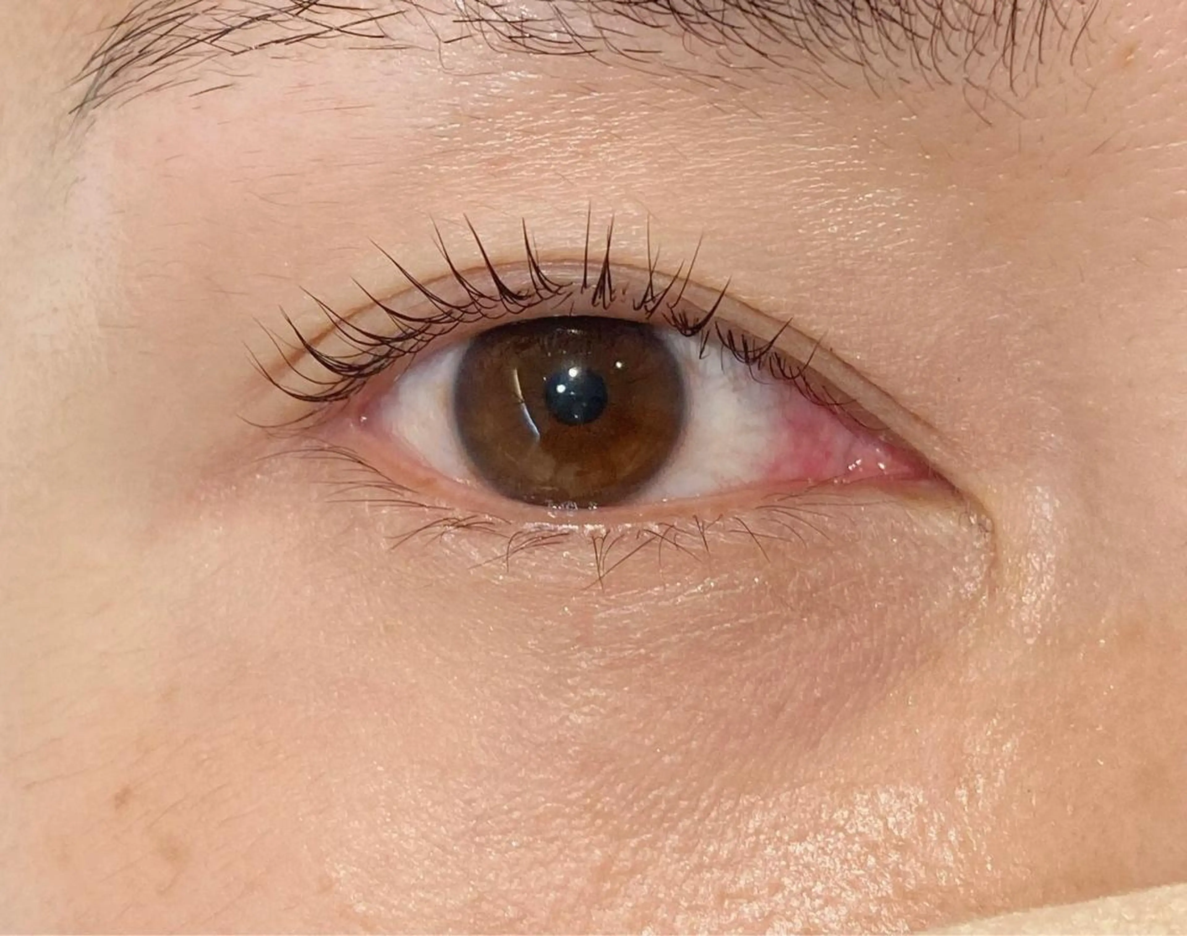 マツエク・マツパ パリジェンヌラッシュリフト 𓊆ᶠᵉᵉʸ𓊇 ᶜᴴᴵᴴᴬᴿᵁのマツエク・マツパデザイン