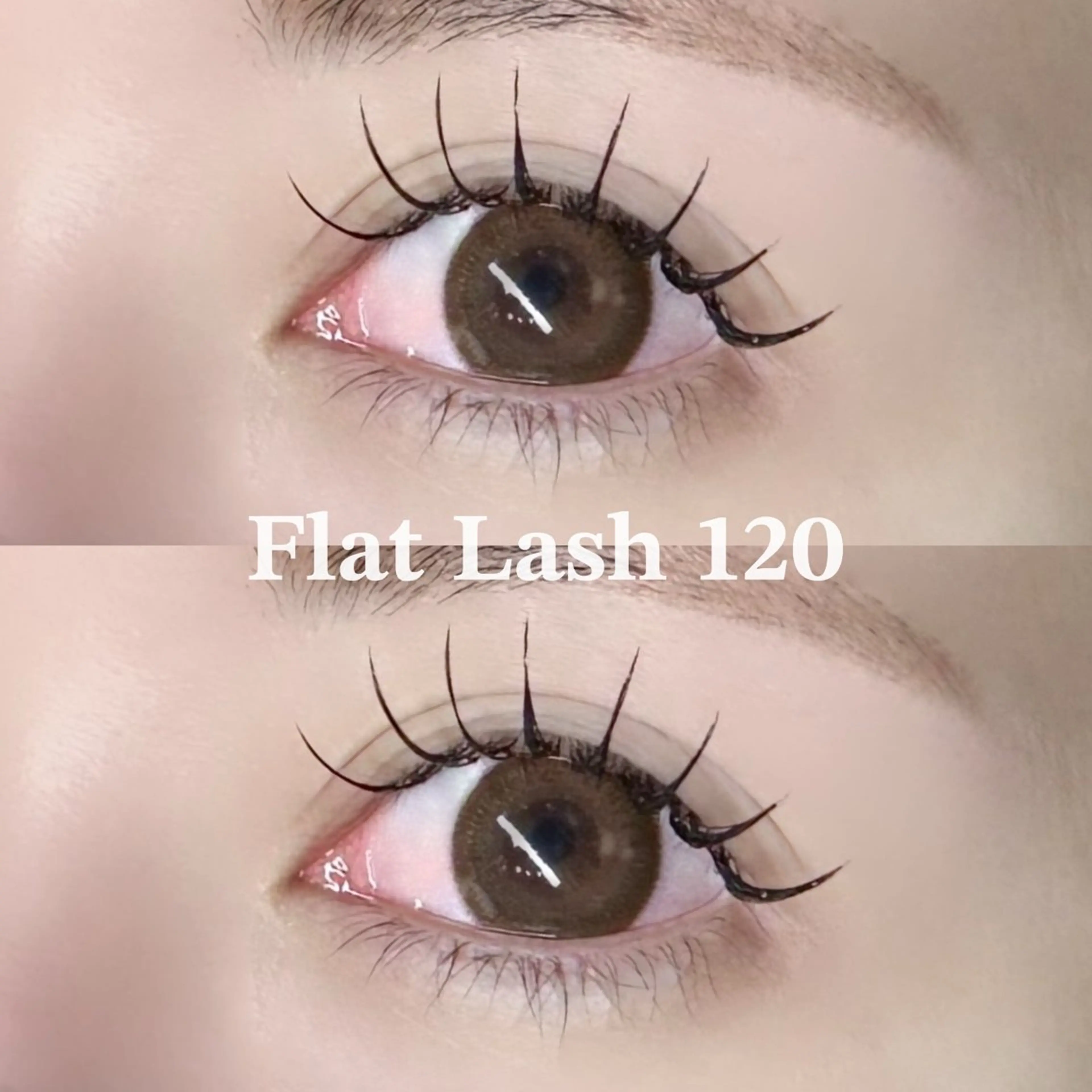 オフあり🙆🏻最高級フラットラッシュ120本🩵ご新規様4800円/再来様5400円🪽ྀིの写真