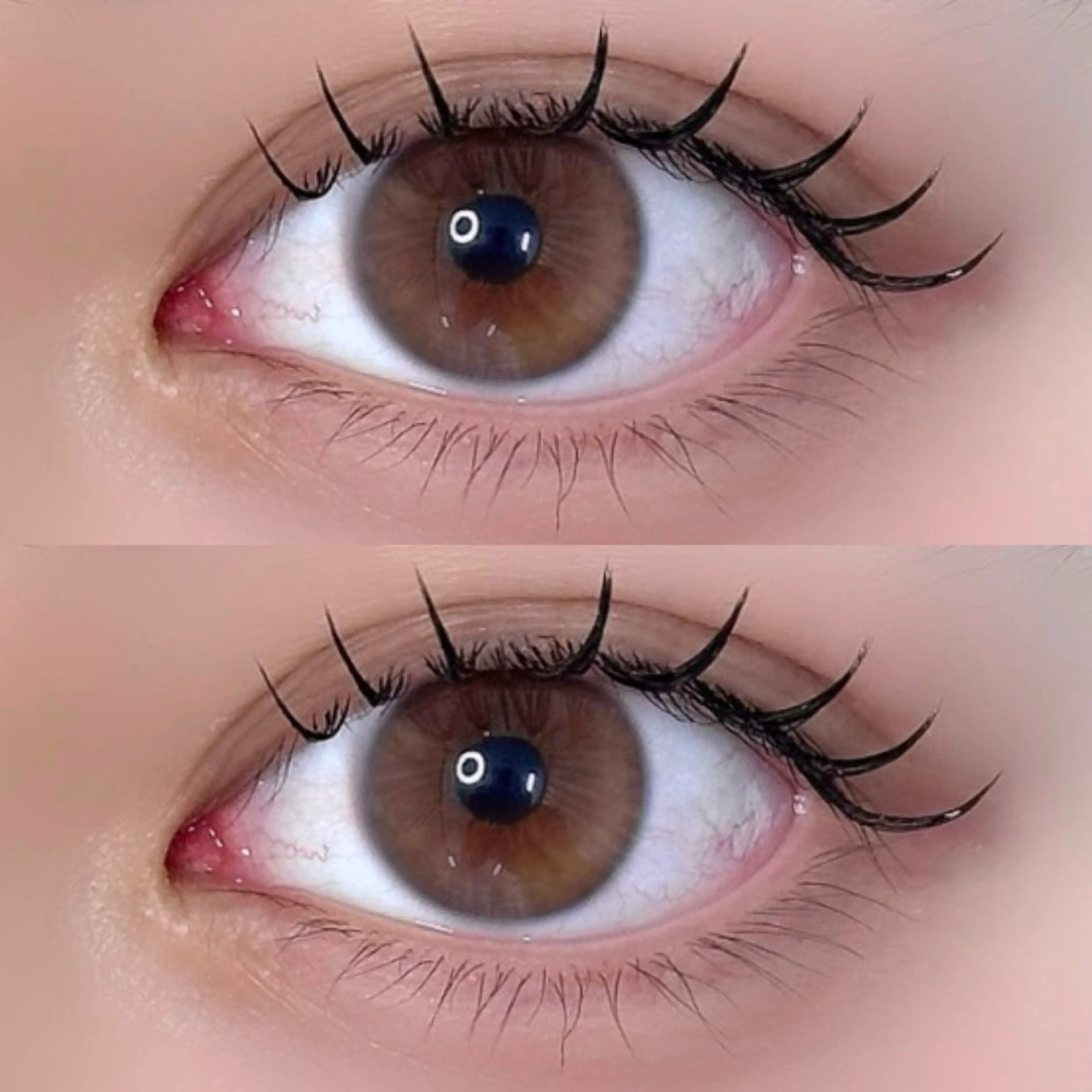 💡minimo限定💡 LED エクステ 100本 ｜ブラウンに変更可◎の写真