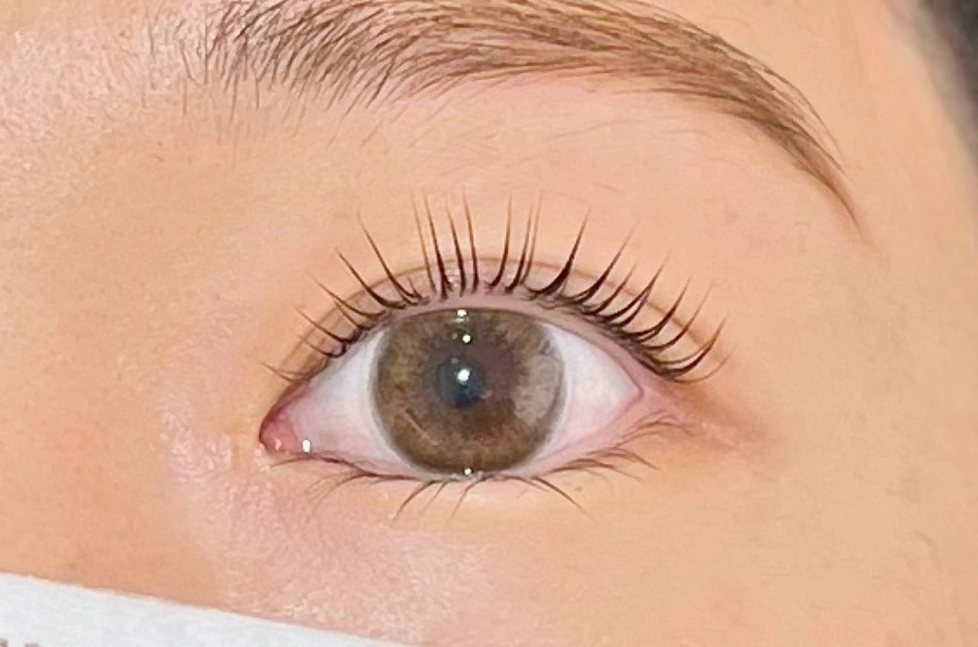 パリジェンヌラッシュリフト＆アイブロウWAX⚠️注意事項を必ずお読みくださいの写真