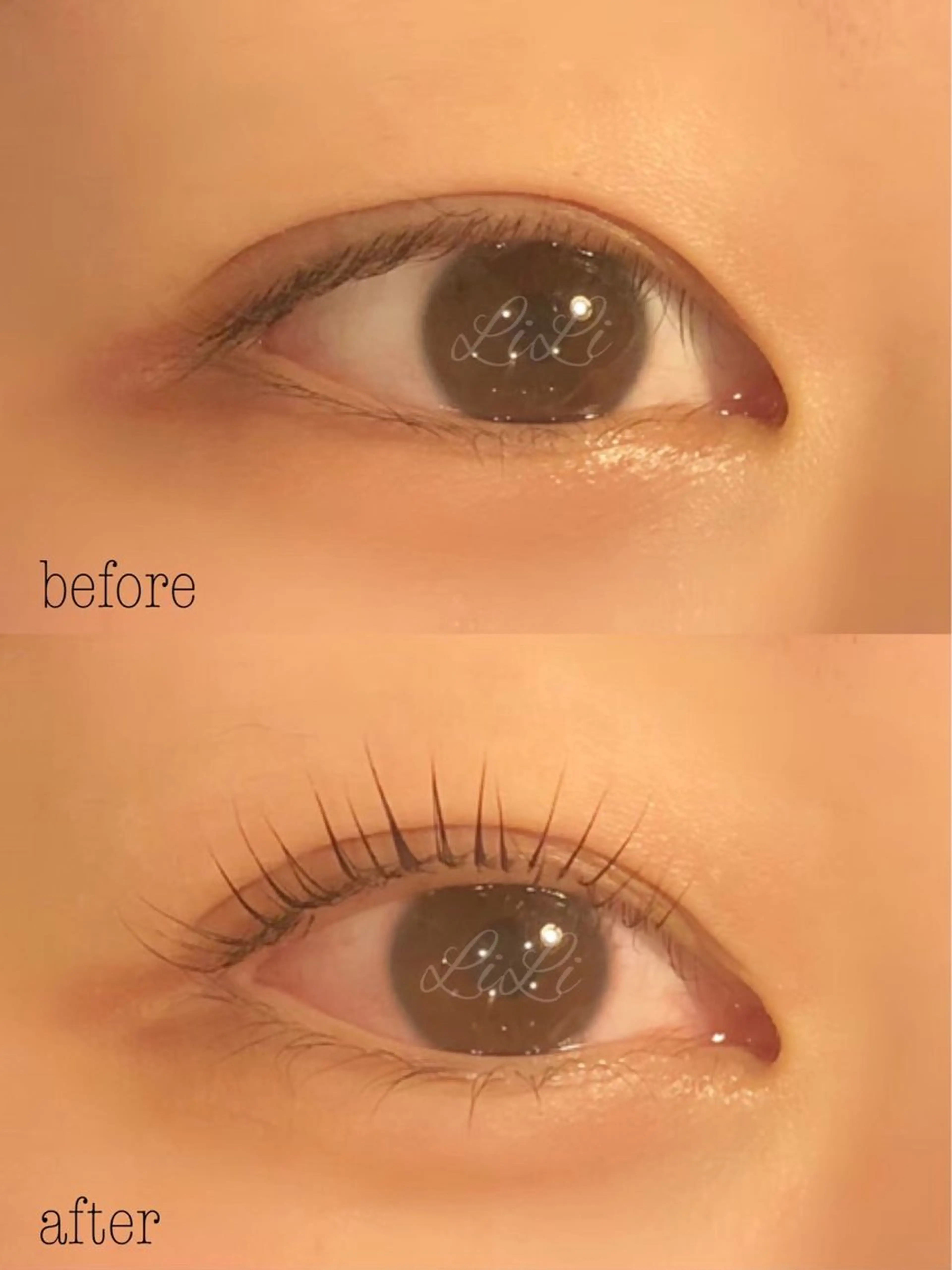 マツエク・マツパ まつげエクステLiLi所属・まつげエクステ LiLiのマツエク・マツパデザイン