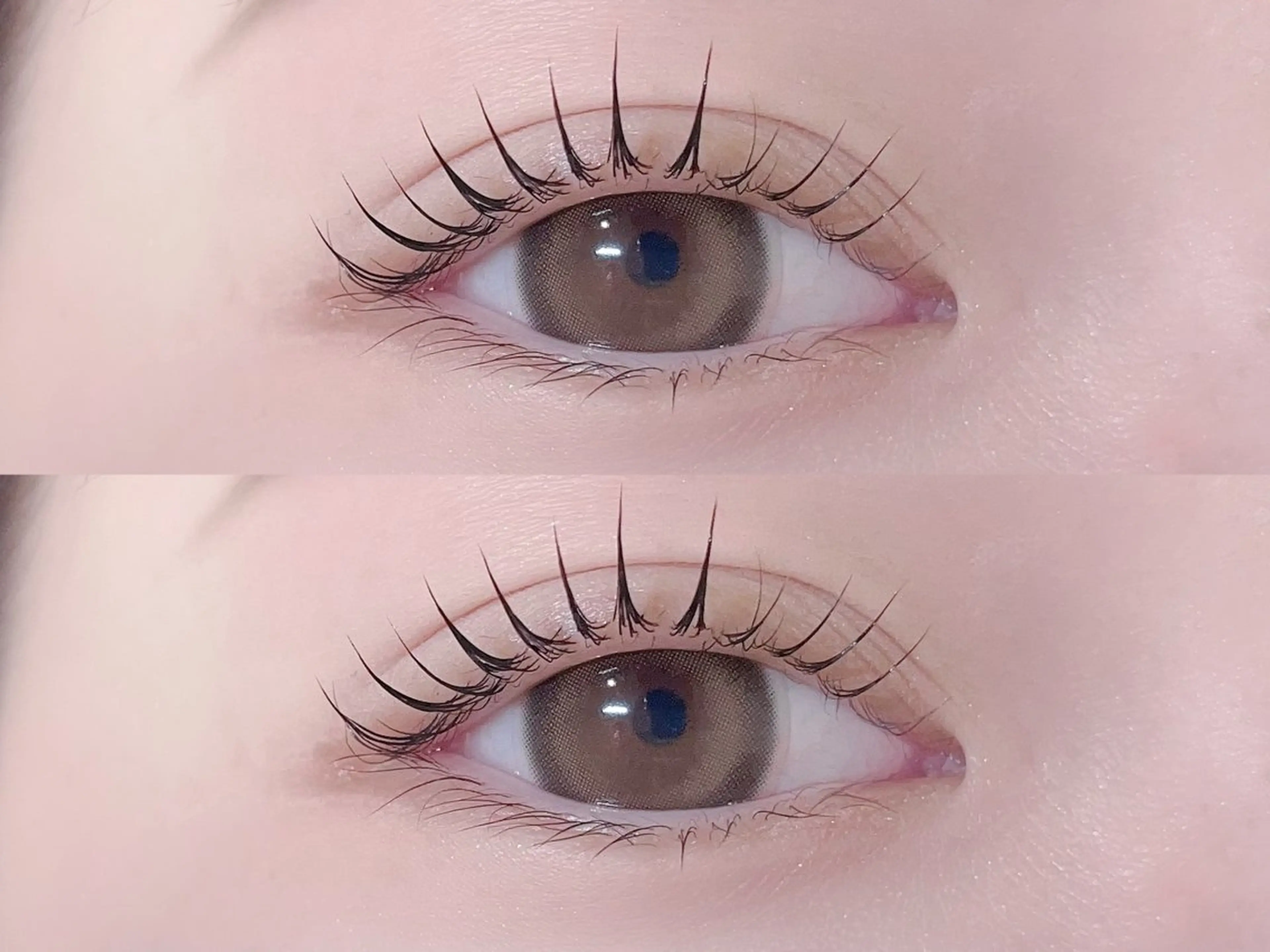 【🍀新規30%off🍀】パリジェンヌラッシュリフト➕コーティング仕上げ➕アイパック付き‎🤍の写真