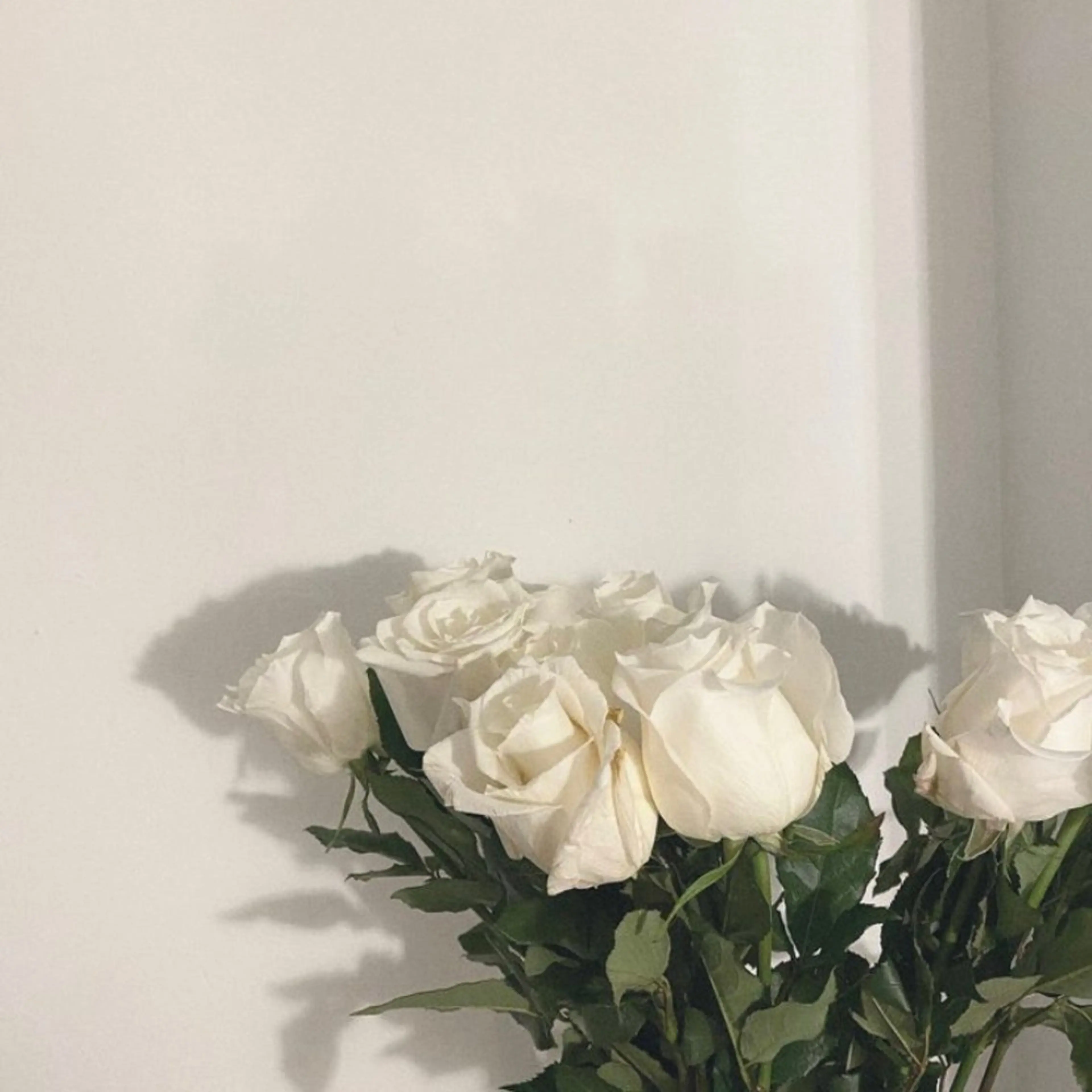 ❤️マツエクつけ放題❤️ブラウン変更+550（目安160​〜​180本）の写真