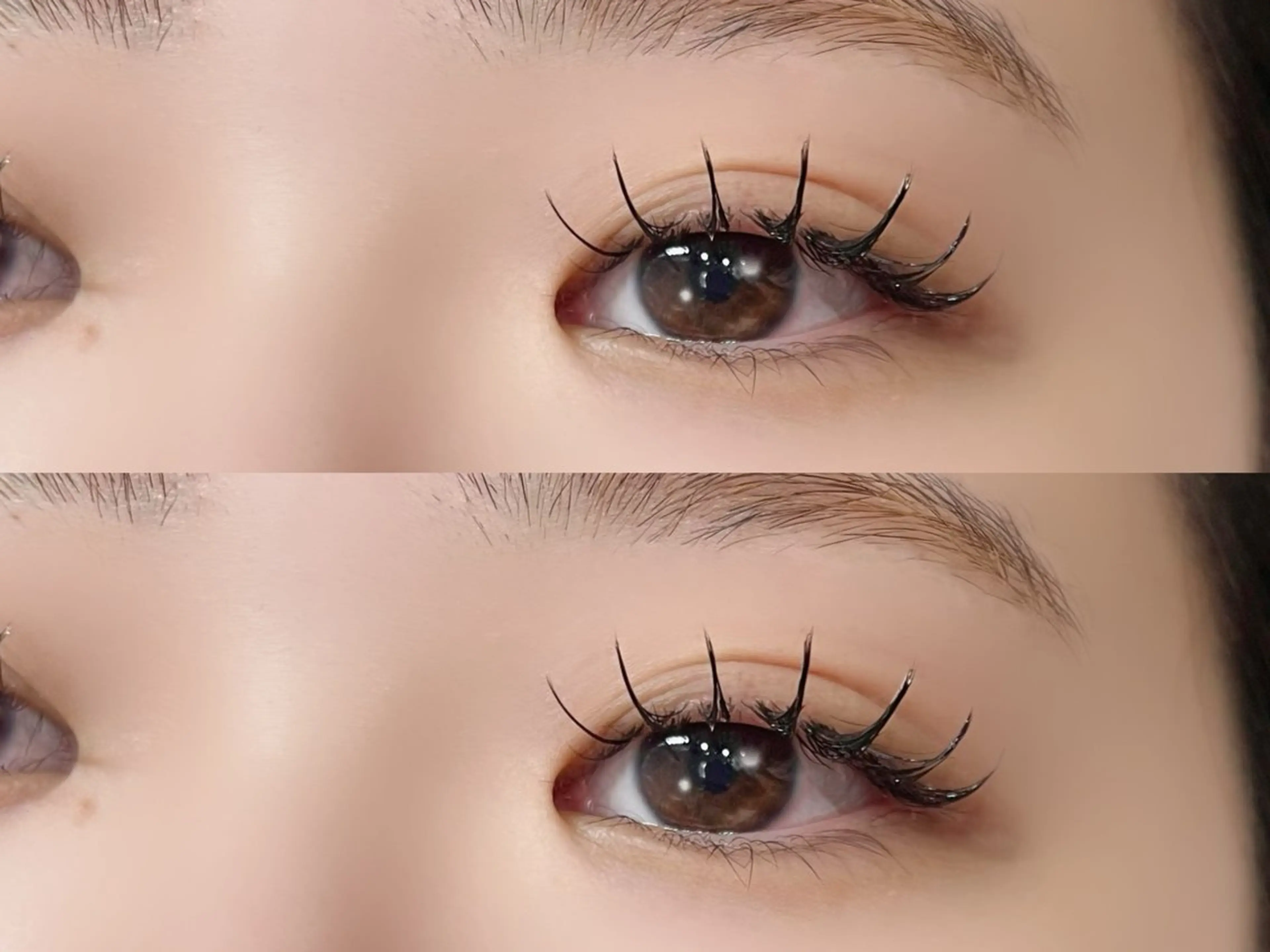 フラットラッシュ140本まで🎀コーティング仕上げ🫧【オフあり可】の写真