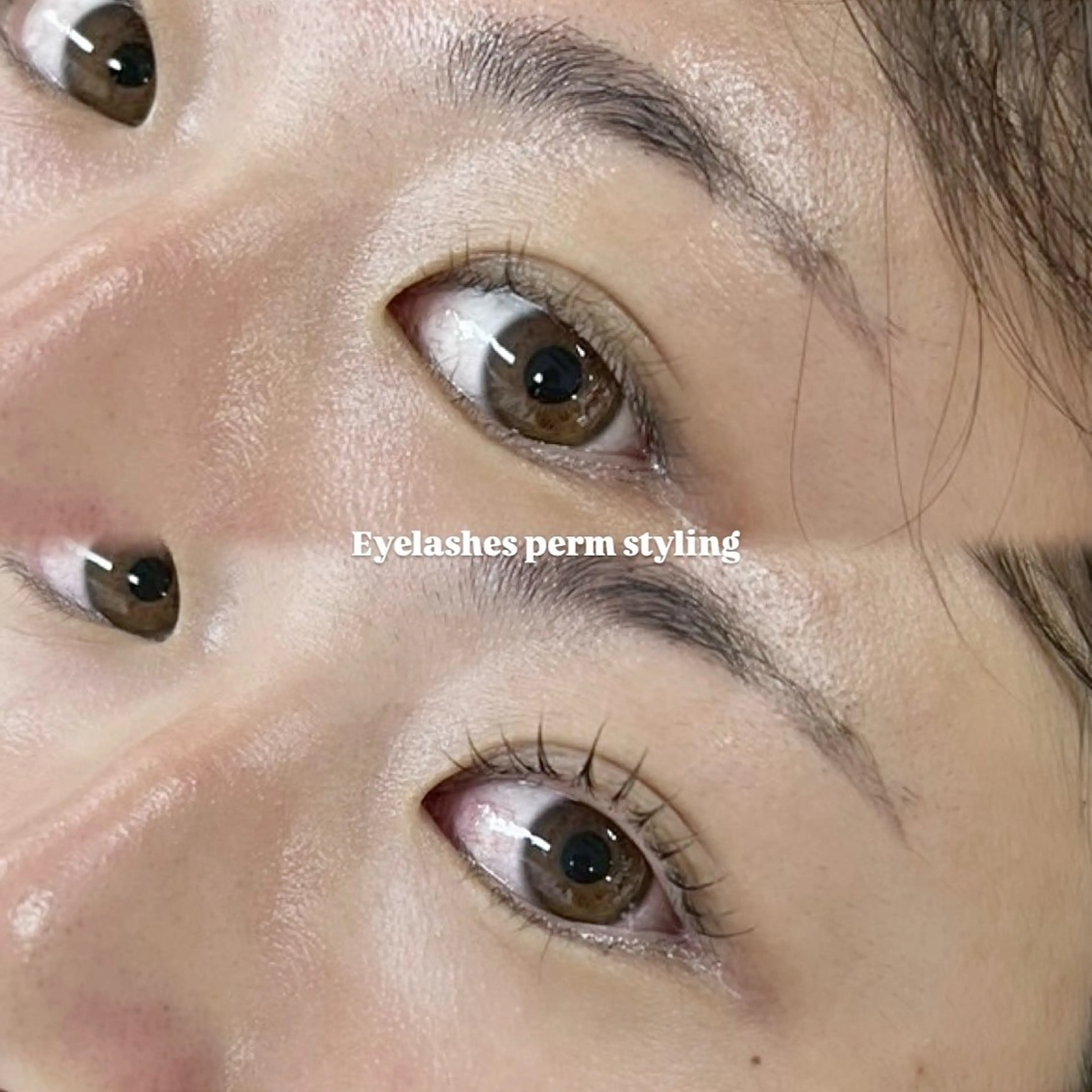 マツエク・マツパ 【眉毛/まつ毛パーマ専門店】most eyes 海老名所属・yumika 🎀のその他イメージ