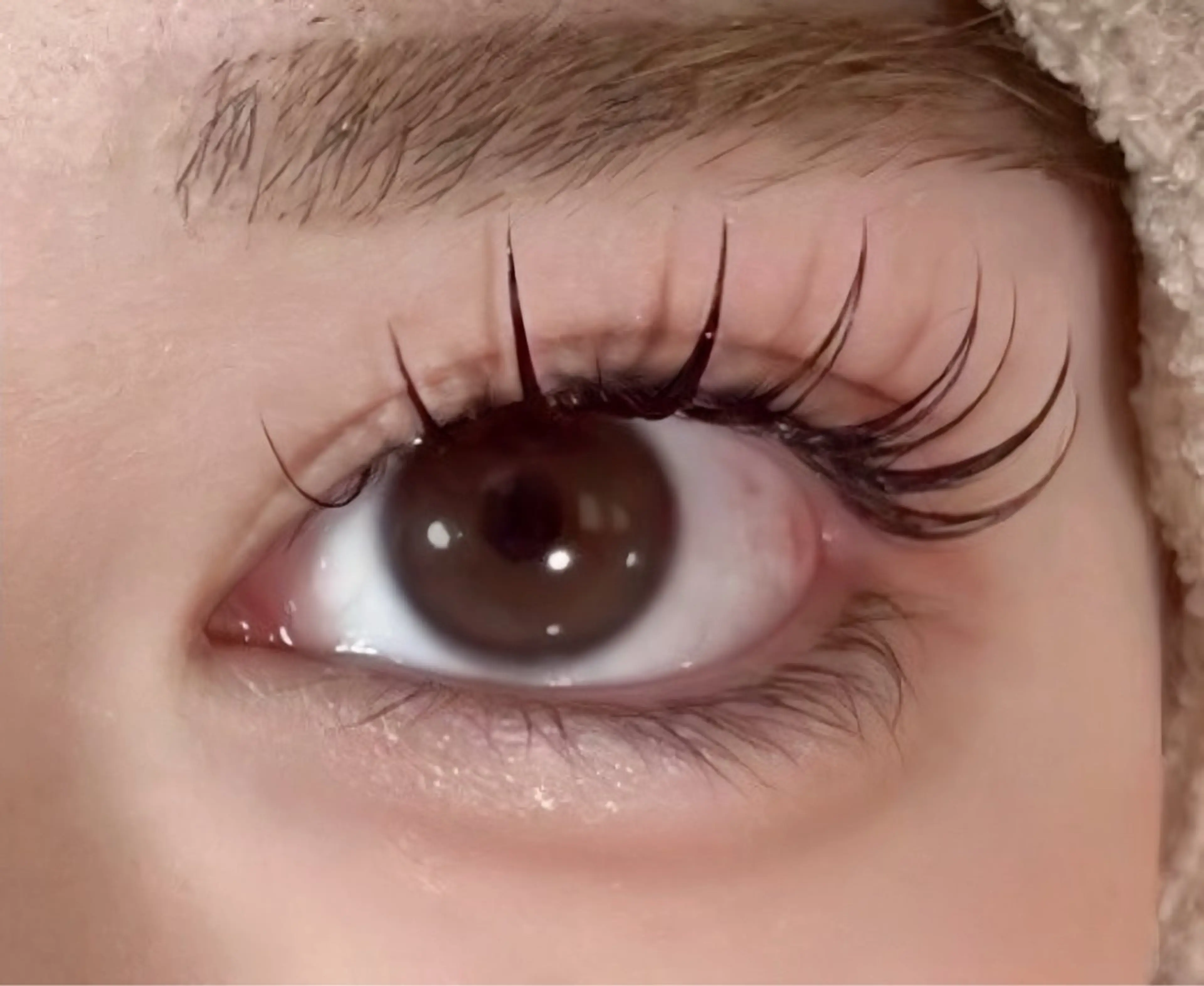 マツエク・マツパ バインドロック マツエク 仲🤍心斎橋/LED /眉毛/まつげパーマのマツエク・マツパデザイン