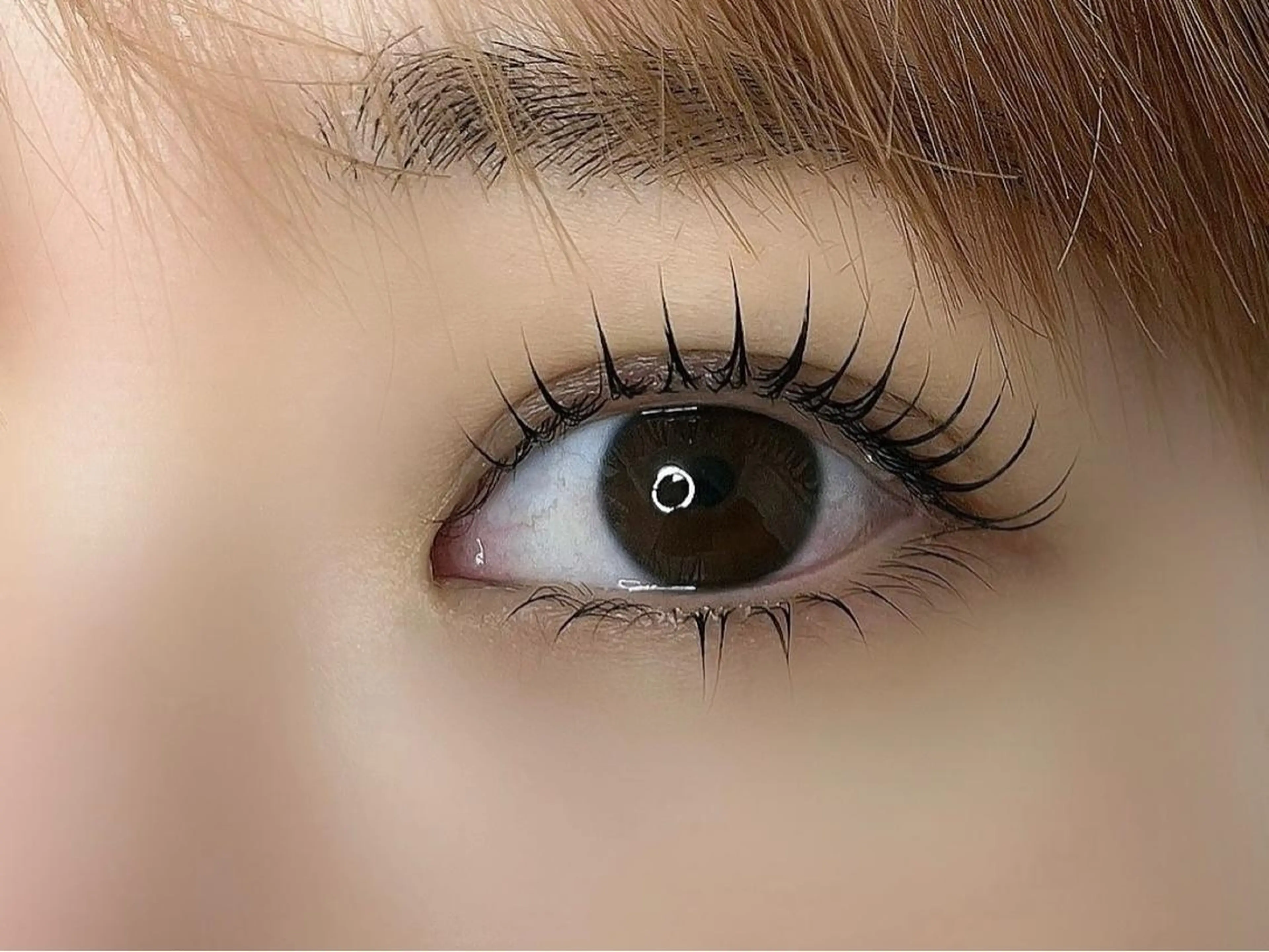 マツエク・マツパ まつげパーマ 下まつげエクステ Lilacia まつげパーマ/マツエク/眉【リラシア】所属・Misato 【尾山台】のマツエク・マツパデザイン