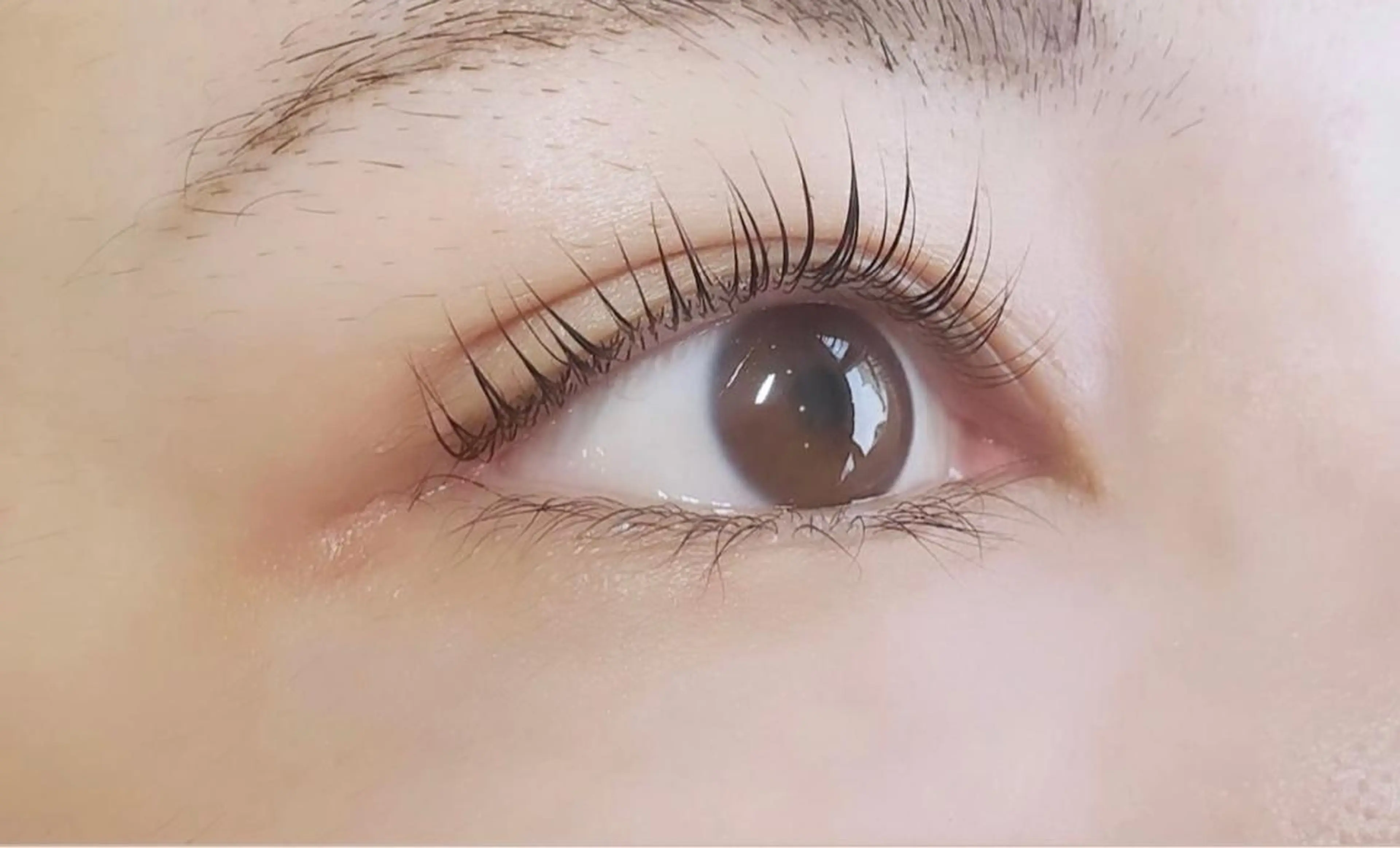 マツエク・マツパ パリジェンヌラッシュリフト Fairytail excellentのマツエク・マツパデザイン