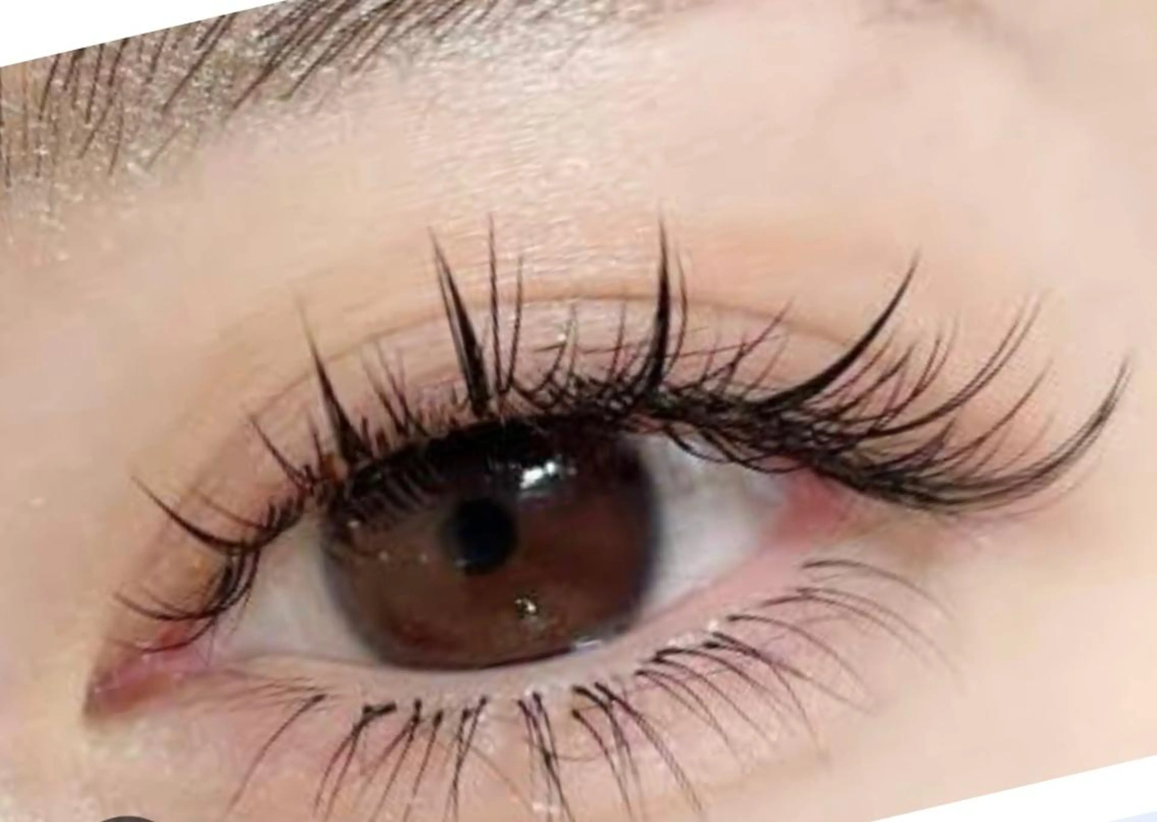 【期間限定】バインド×ダブルフラット 30分付け放題 4500🤍付け足し限定の写真