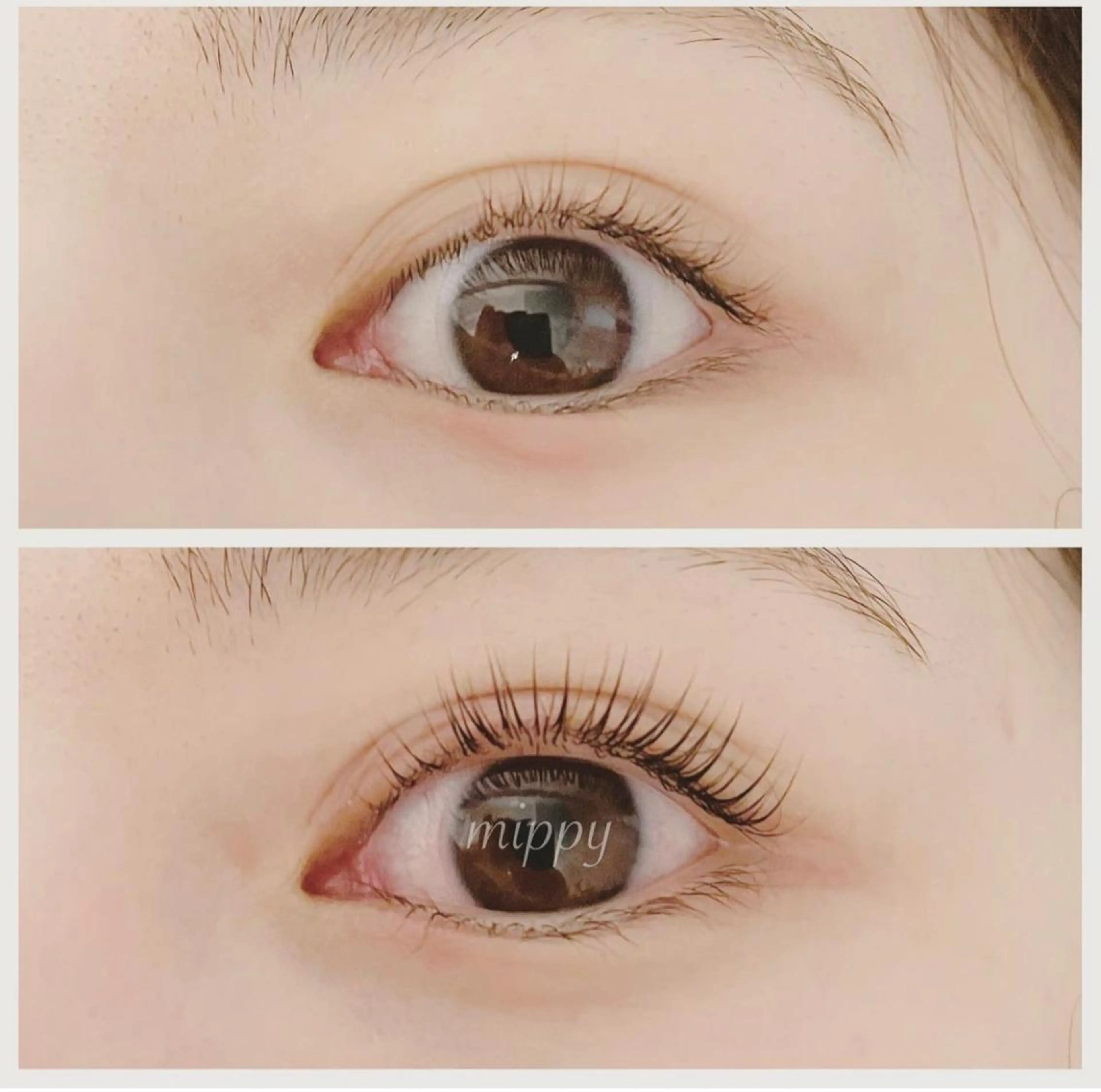 マツエク・マツパ ｍｉｐｐｙ 🪽のマツエク・マツパデザイン