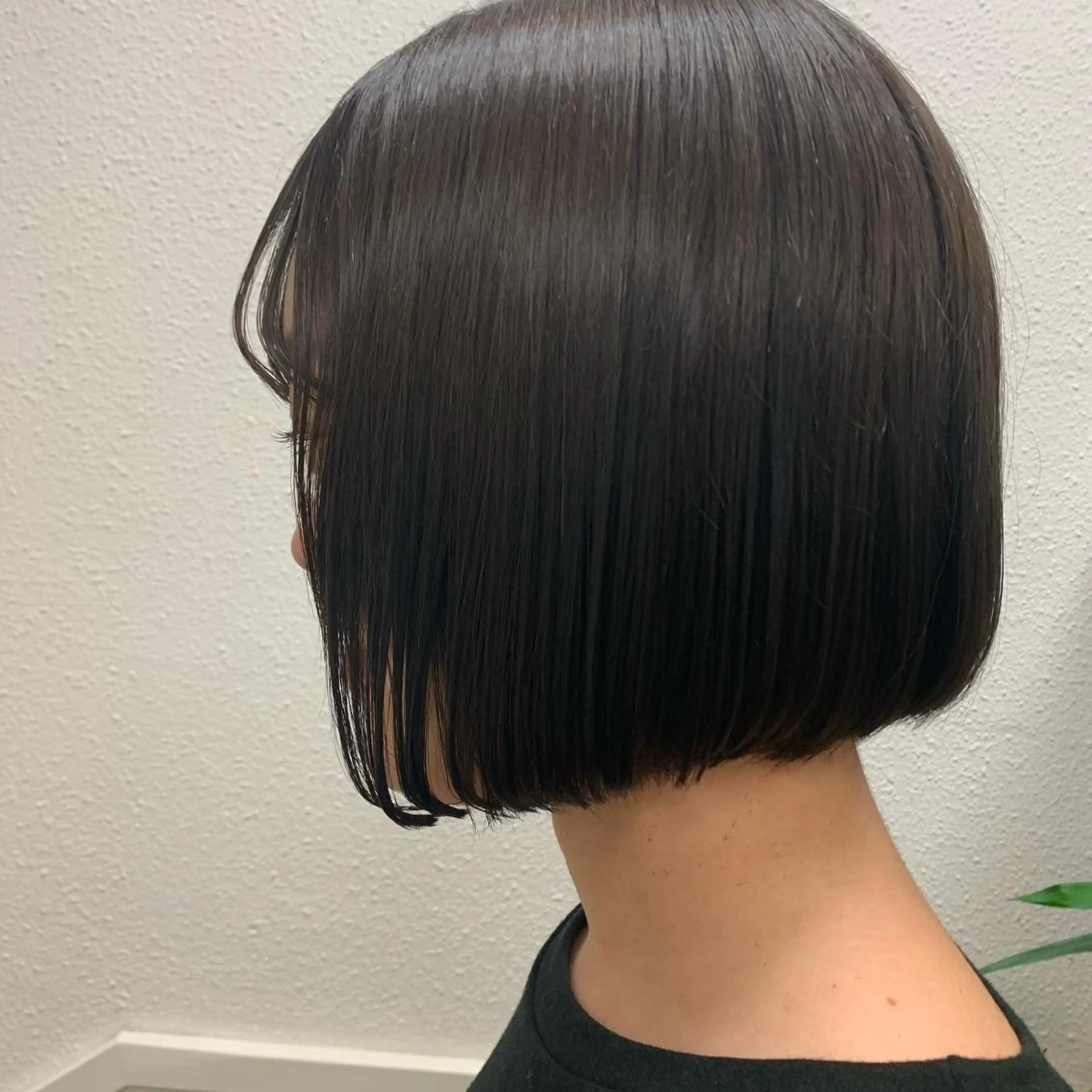 ショート カラー ヘアアレンジ サナ🌱 切りっぱなしボブのヘアスタイル