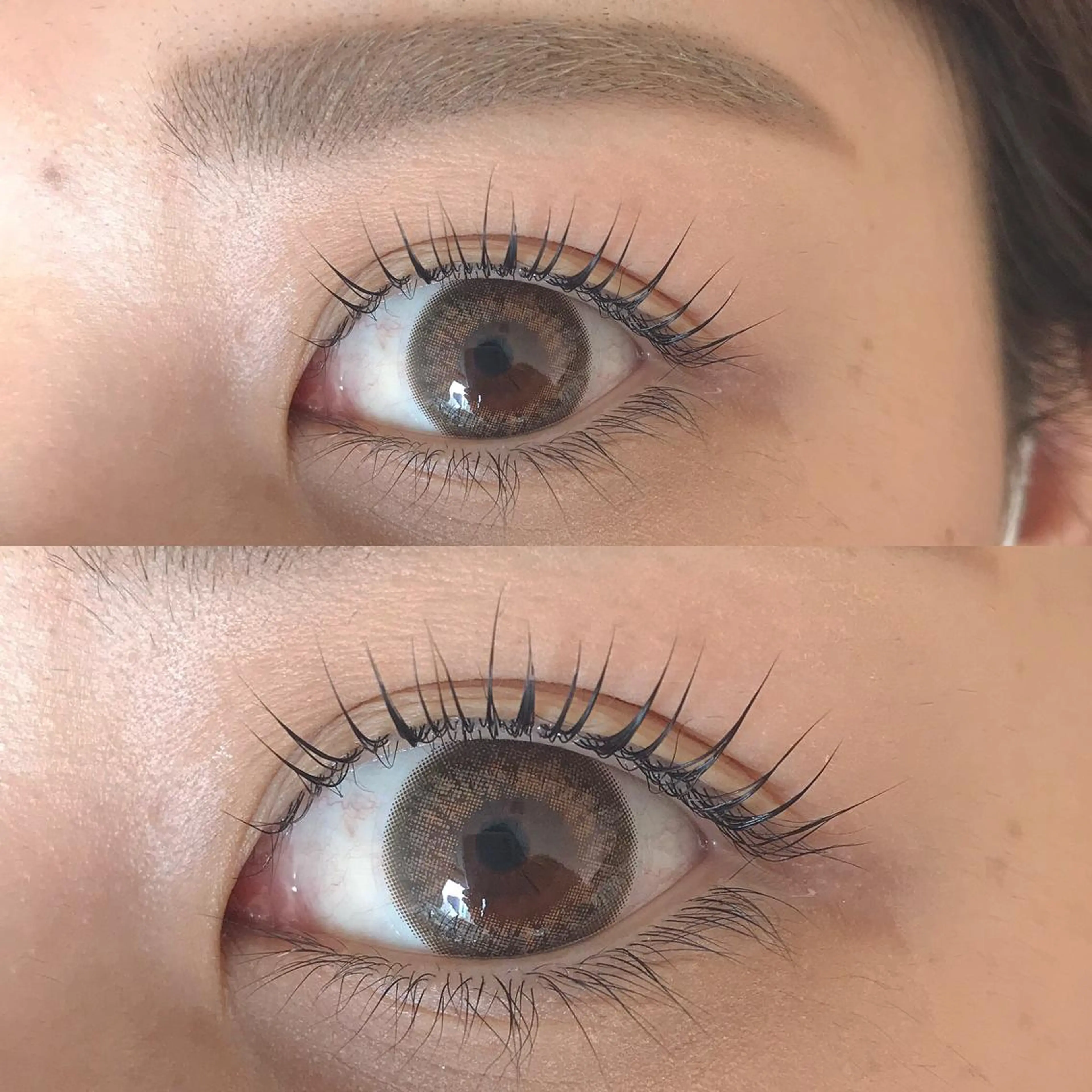 上ラッシュリフト(まつ毛パーマ)＋トリートメント二種類付きの写真