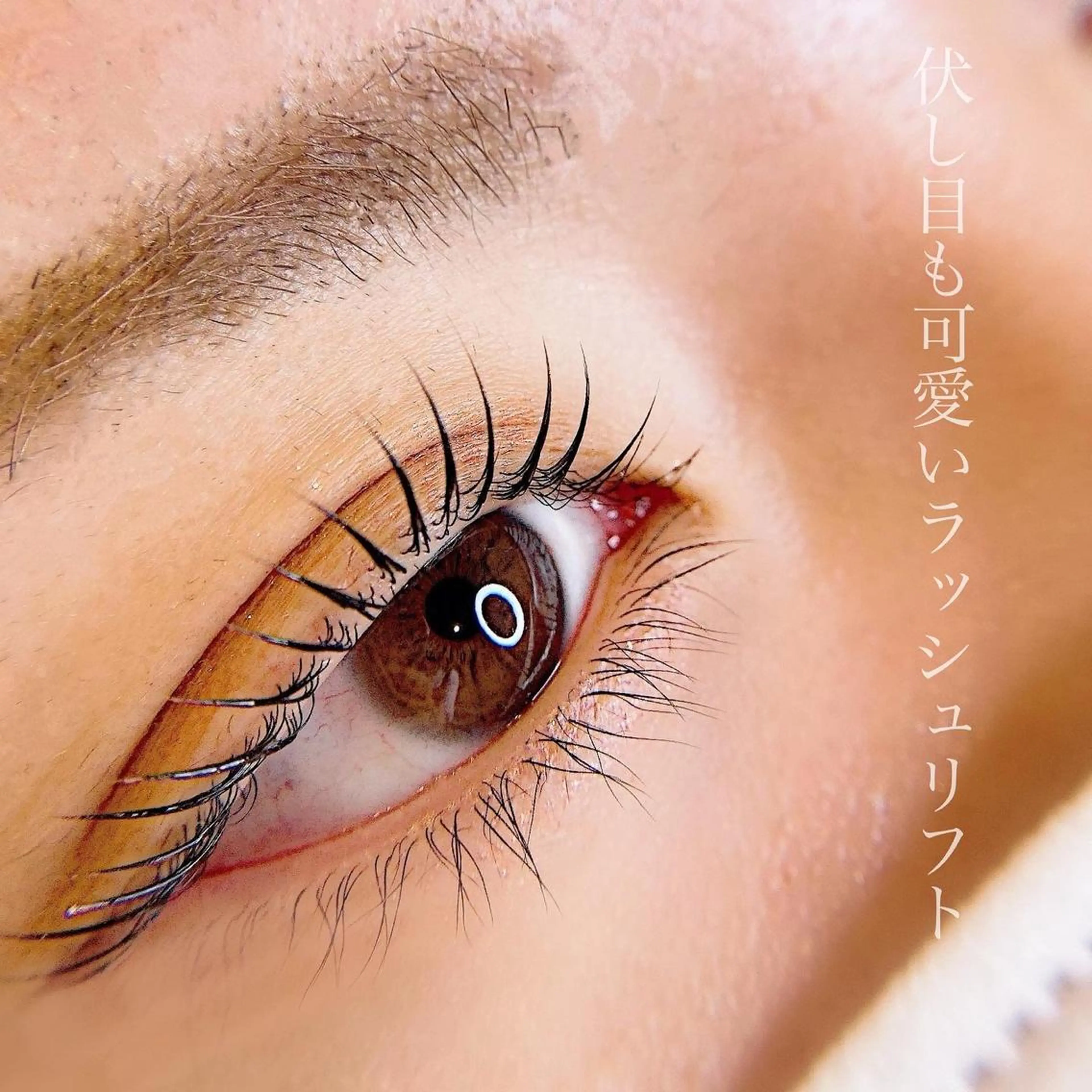 マツエク・マツパ マツパ alchemy workzの眉毛・アイブロウイメージ