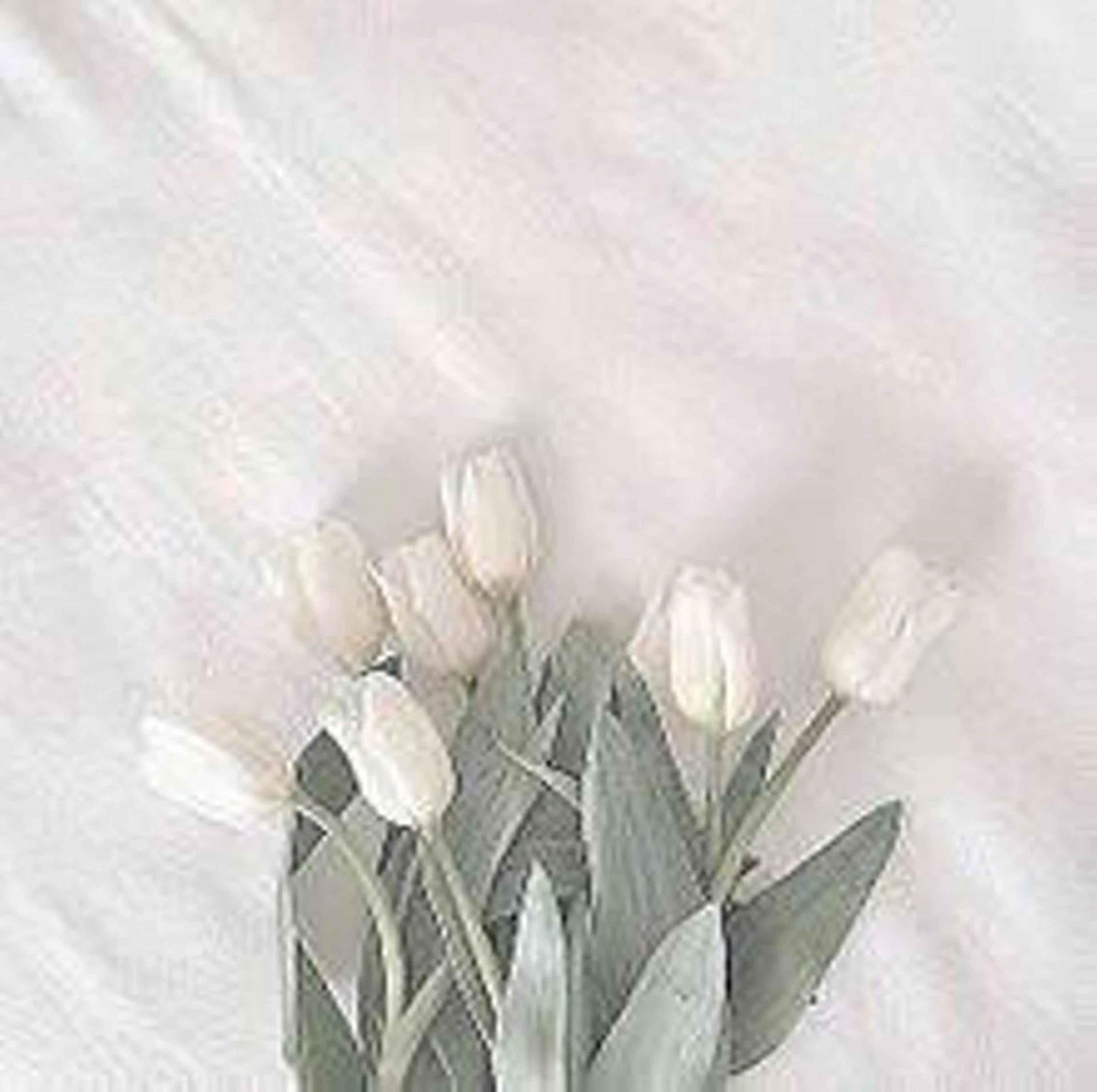 マツコのまつ育サロン 埼玉大宮店のマツエク・マツパデザイン