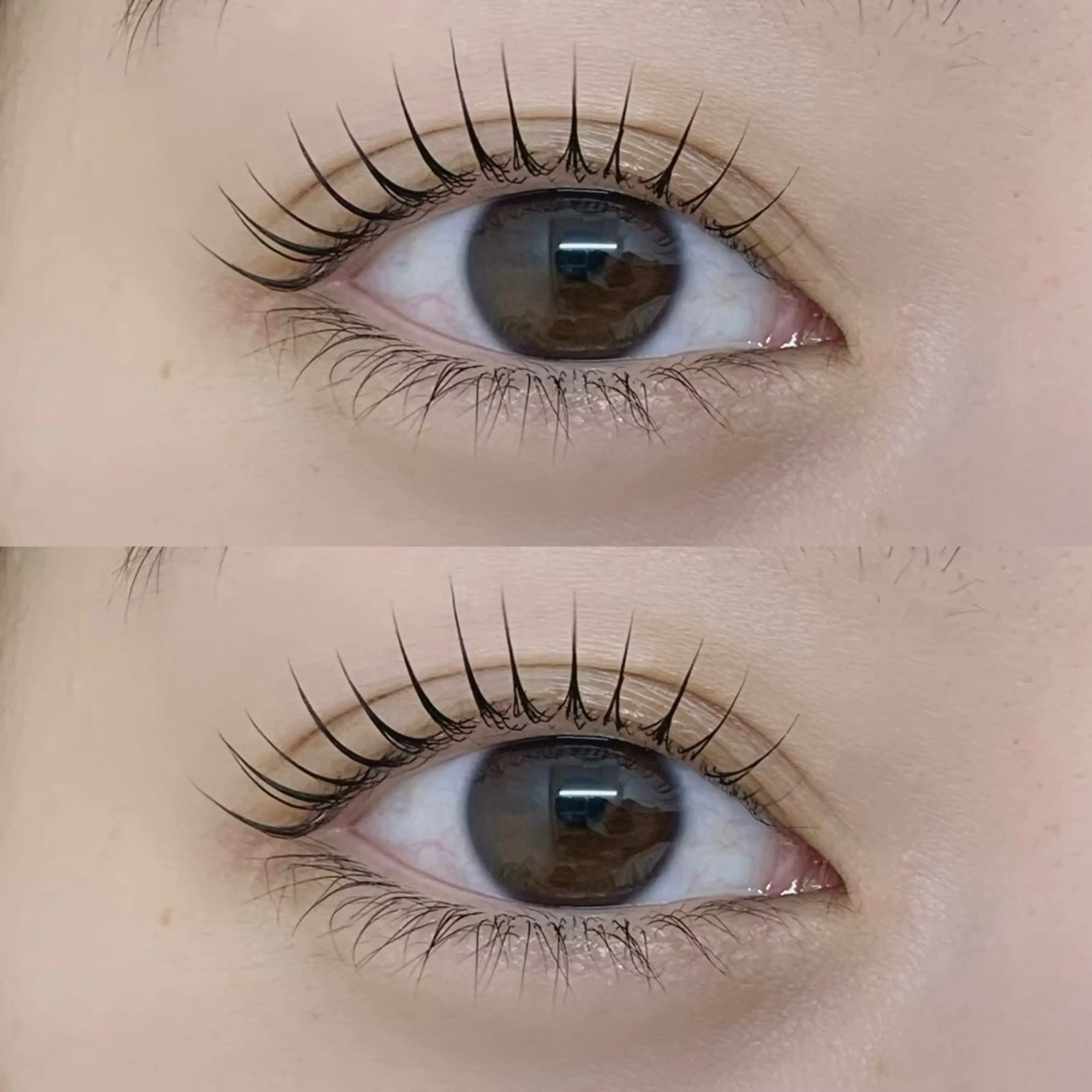 minimo限定‼️【デザインが選べるまつ毛パーマ】🌼仕上げコーティング＋ケラチントリートメント補修つき◎の写真