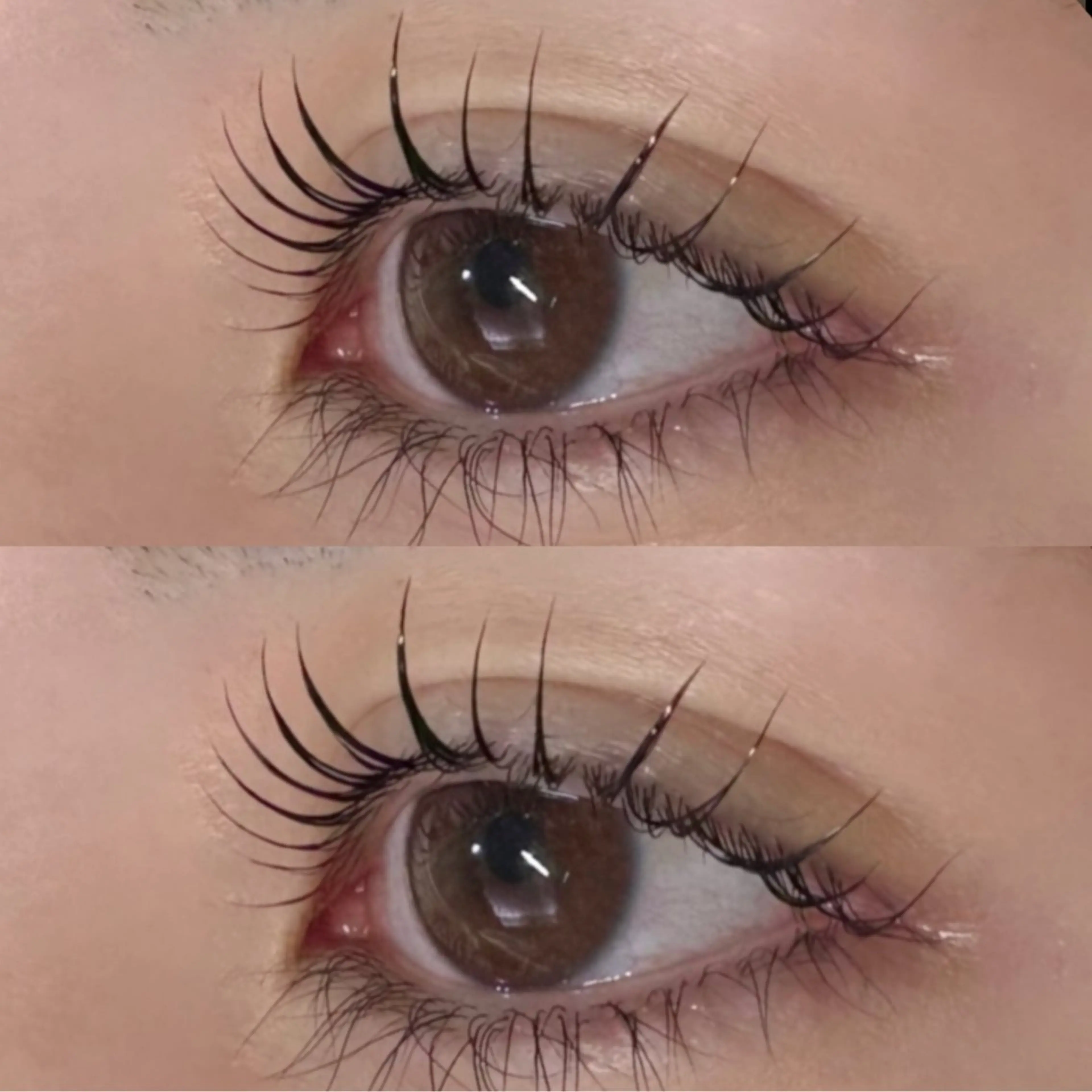 （上のみ）まつげパーマの写真