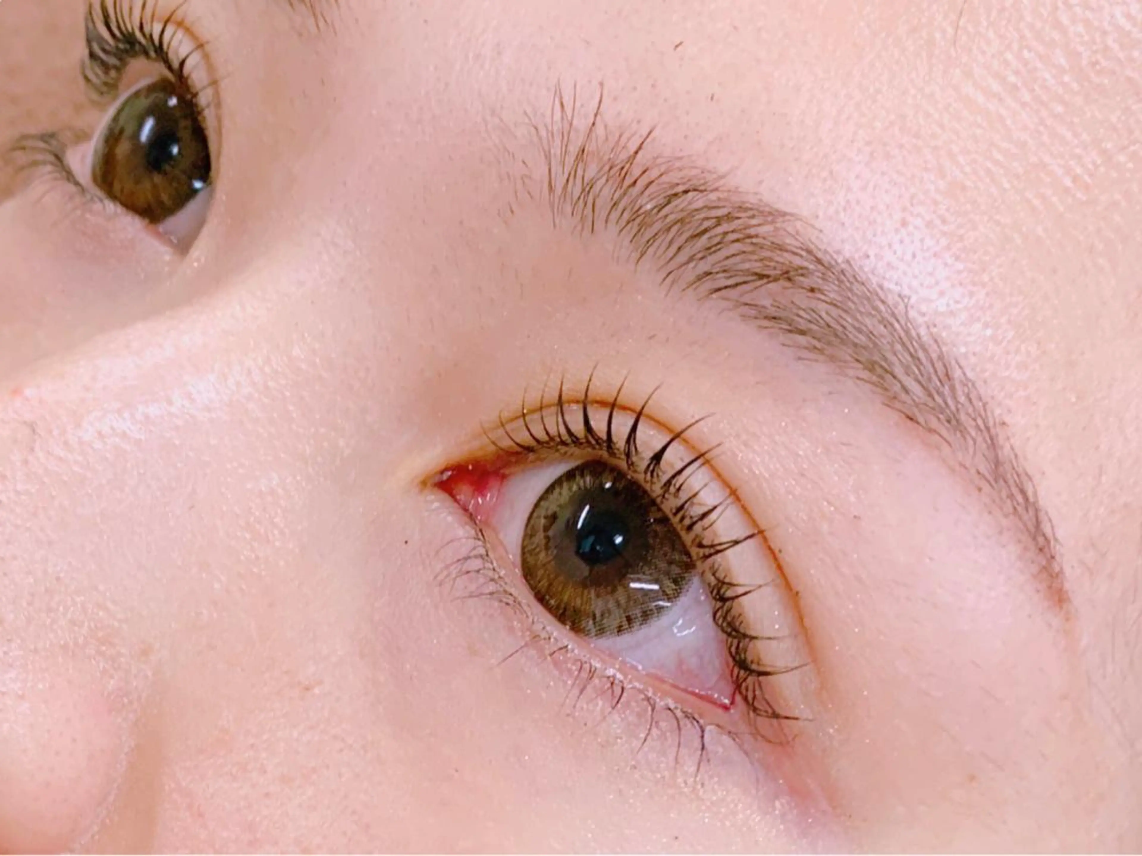 🤍平日限定🈹🧸オーダーメイドまつげパーマ(上)[武蔵小金井/国分寺/三鷹]の写真