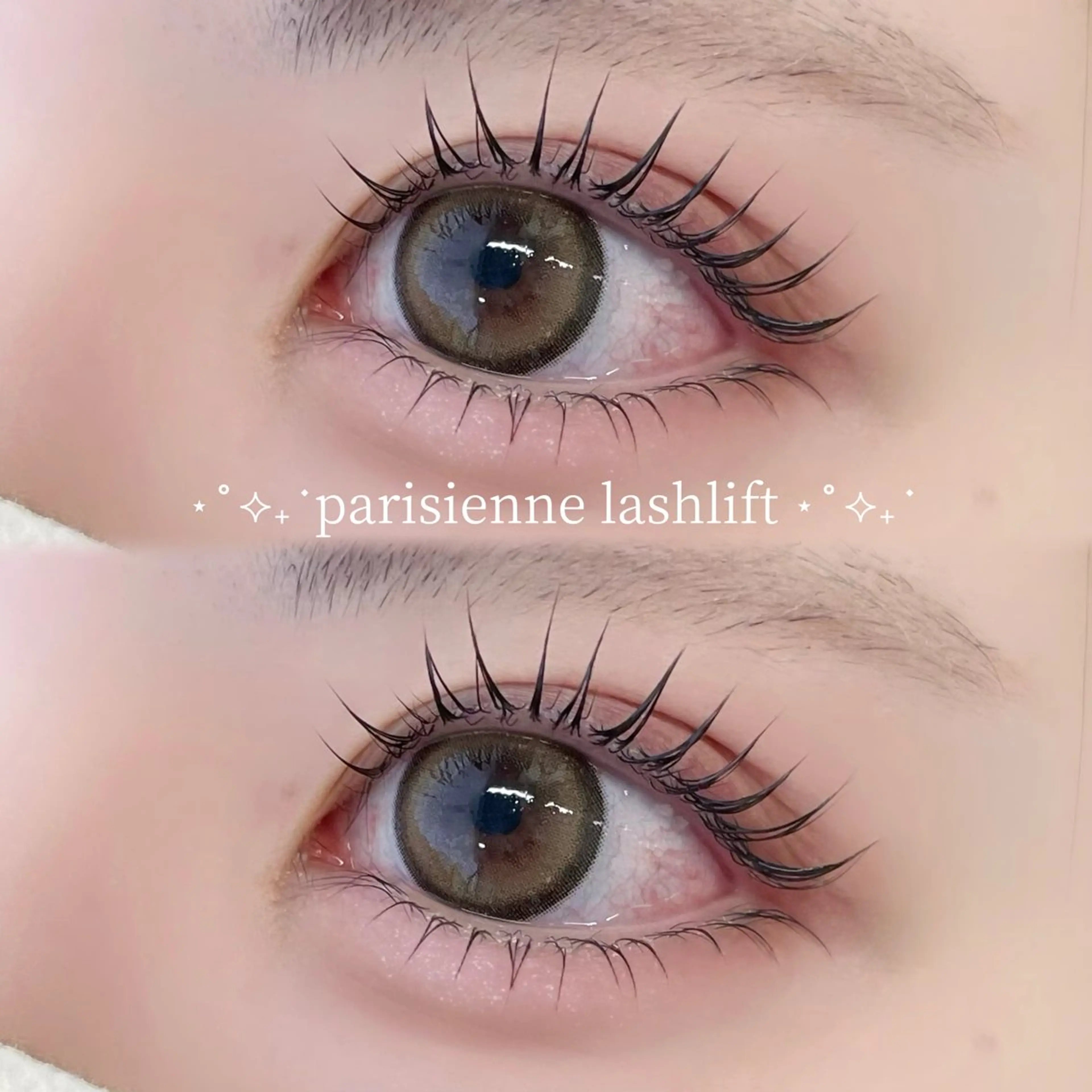 💫新規限定💫《上下ラッシュリフトorパリジェンヌラッシュリフト》の写真