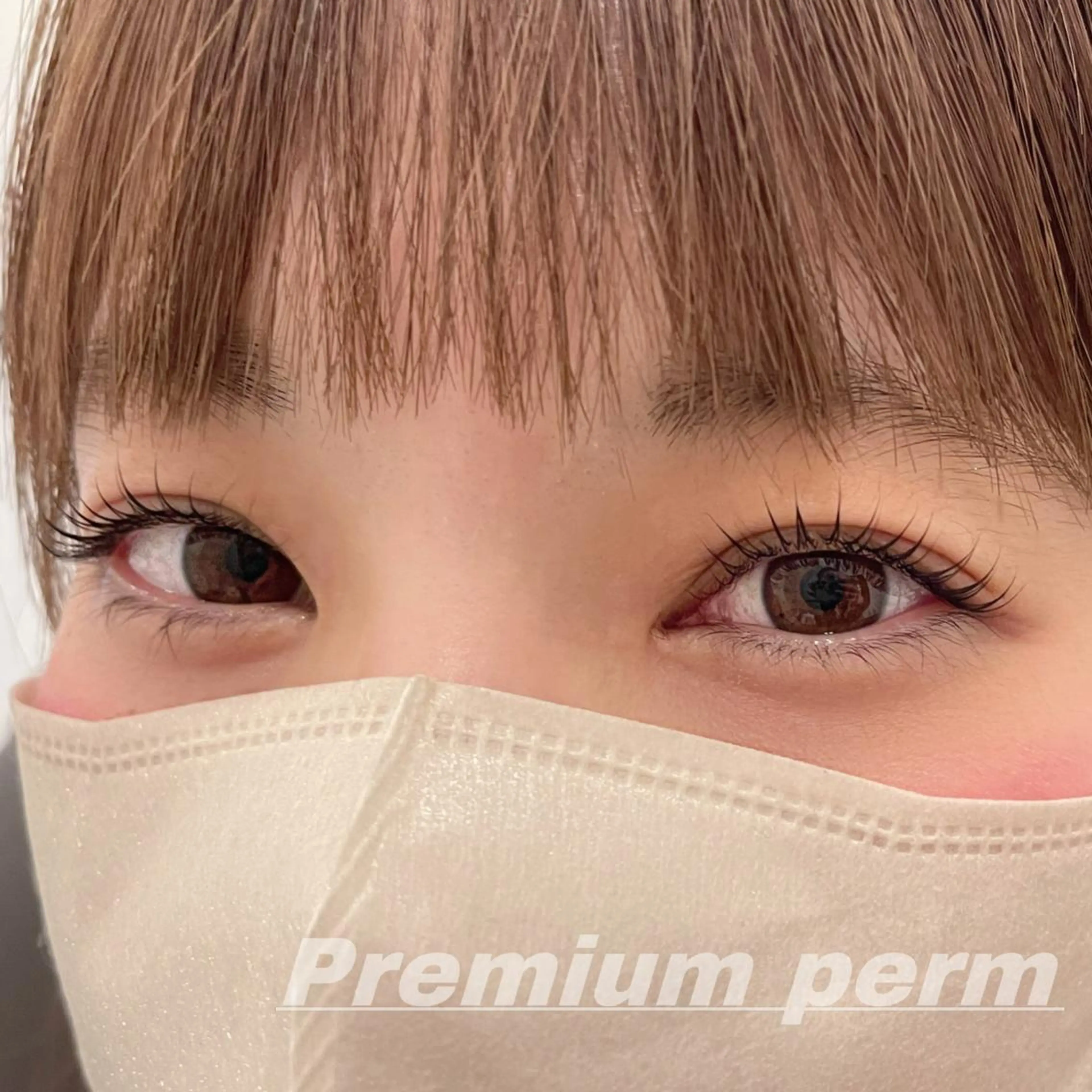 マツエク・マツパ 一重×まつ毛パーマ マツパ Eye ELSA lash栄店の眉毛・アイブロウイメージ