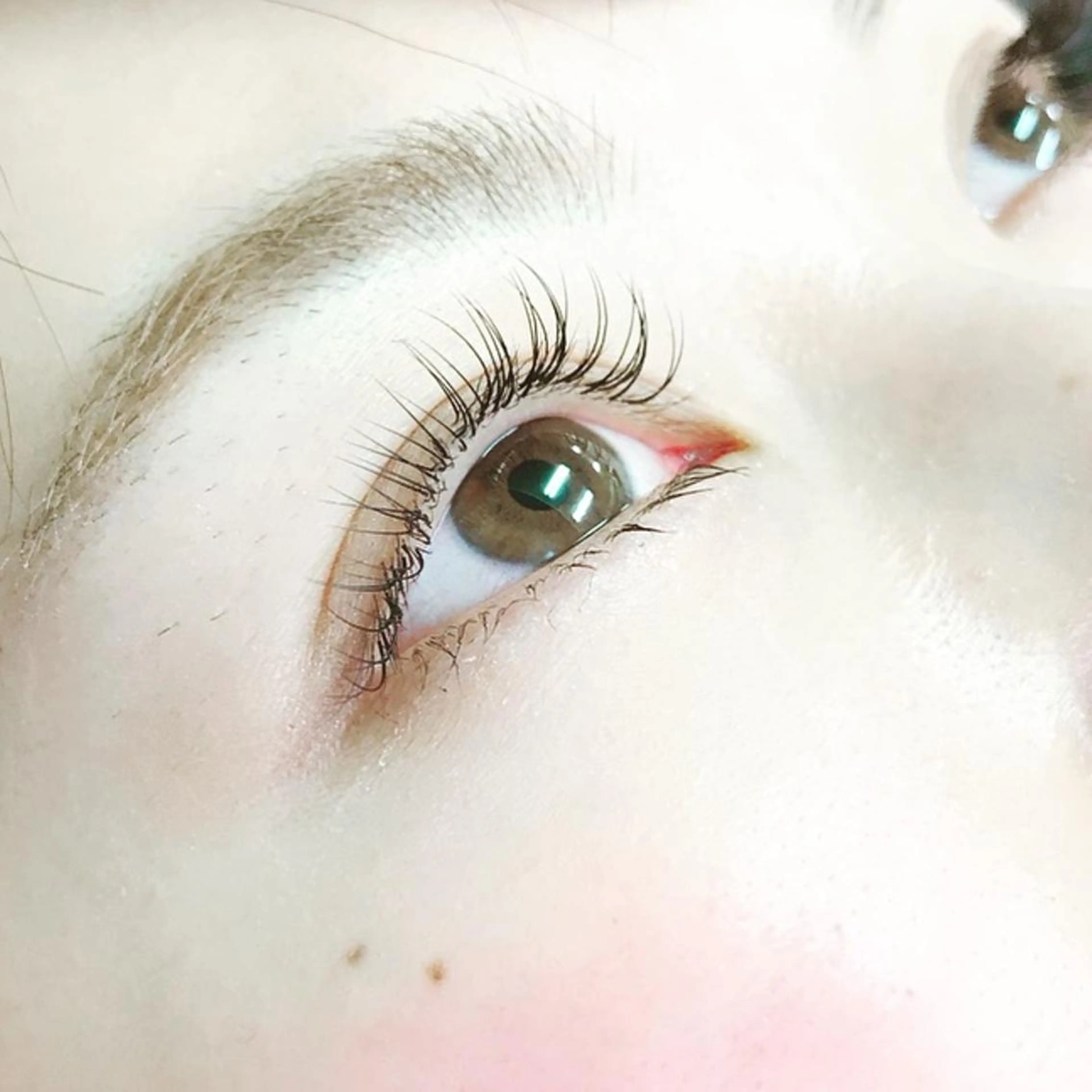 マツエク・マツパ ナチュラル LOBAL アイラッシュのマツエク・マツパデザイン