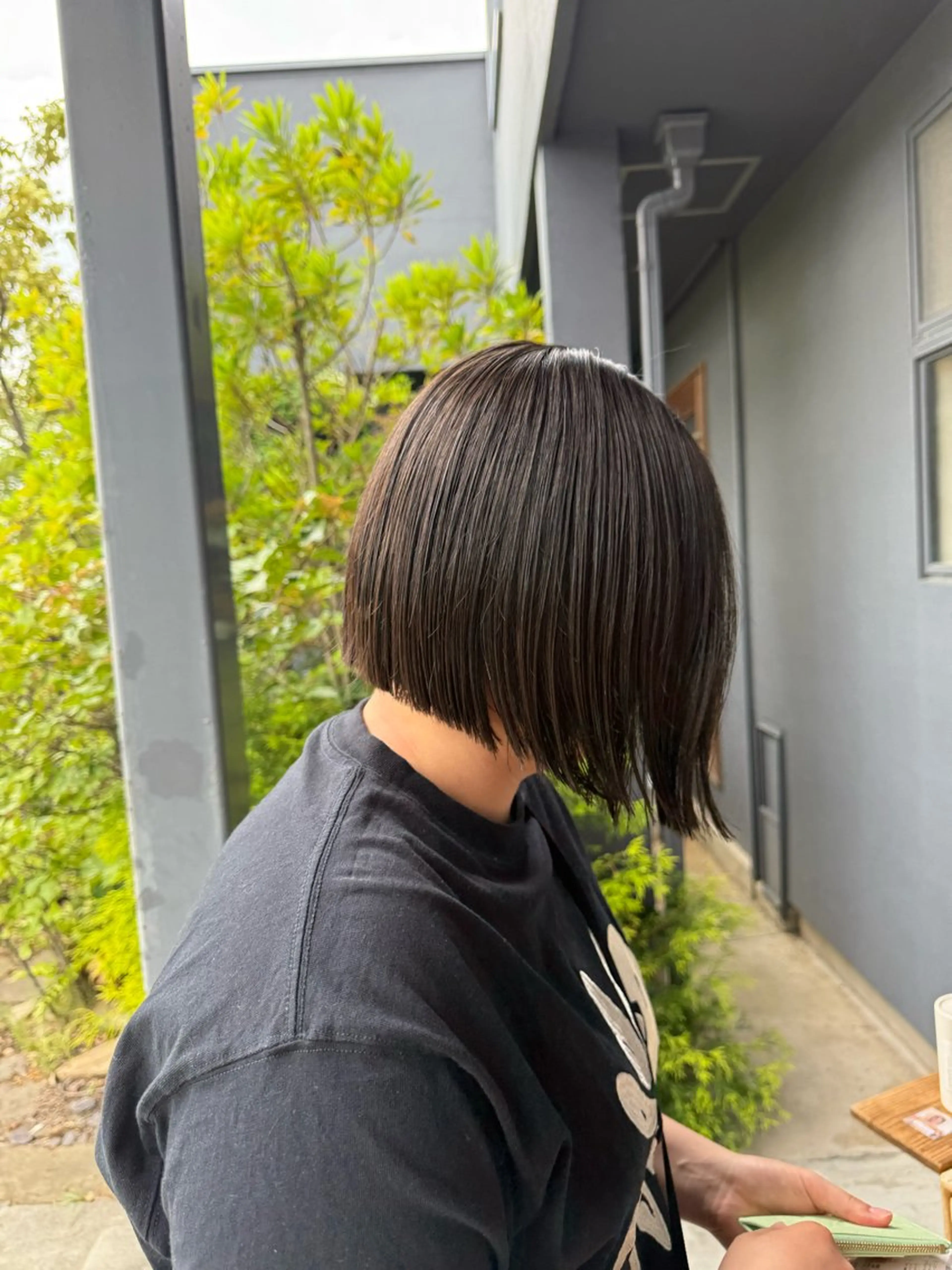 カット🌵の写真