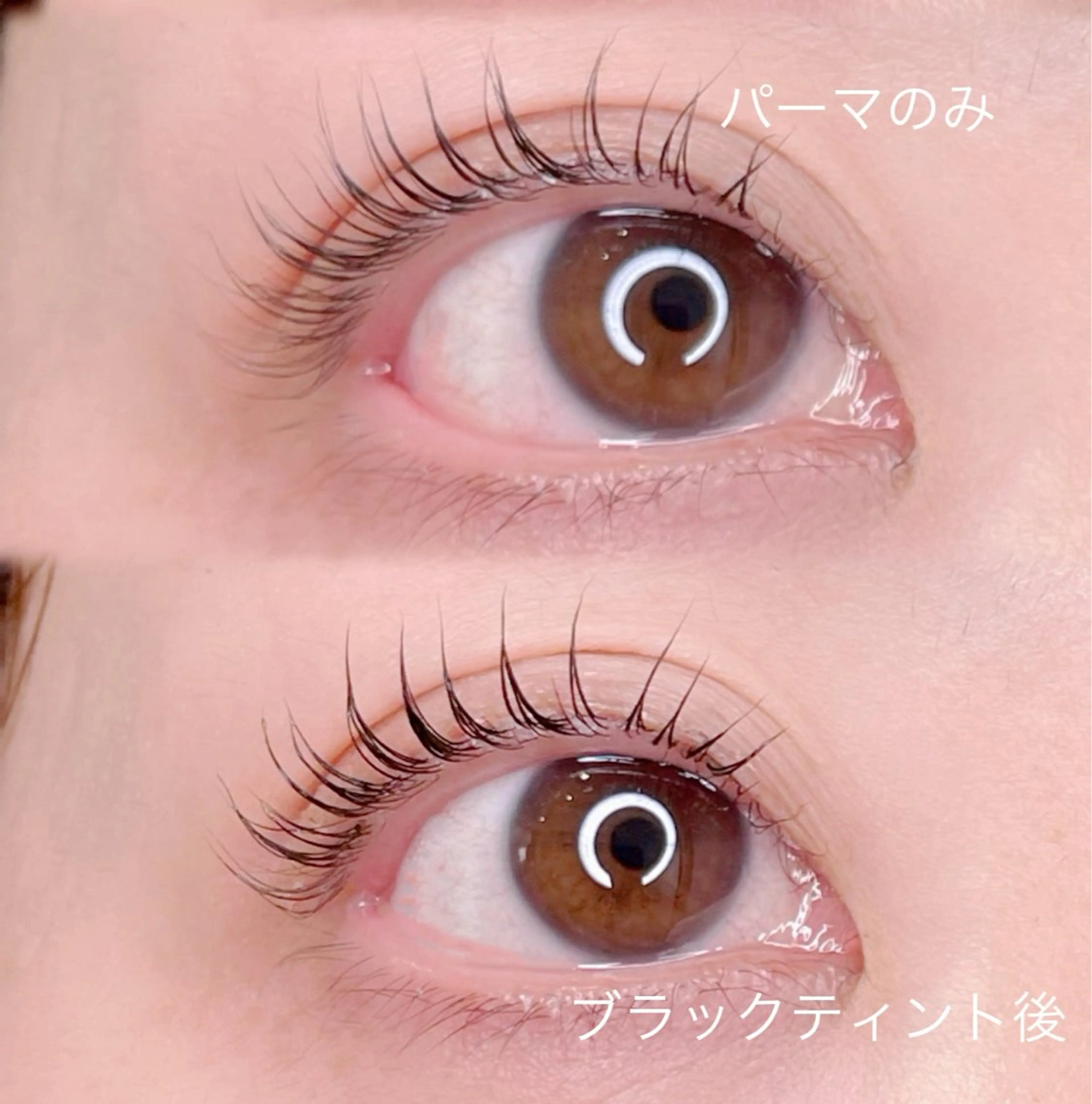 【🖤限定3名🖤】マスカラパーマ✨✨（所要時間70分）の写真