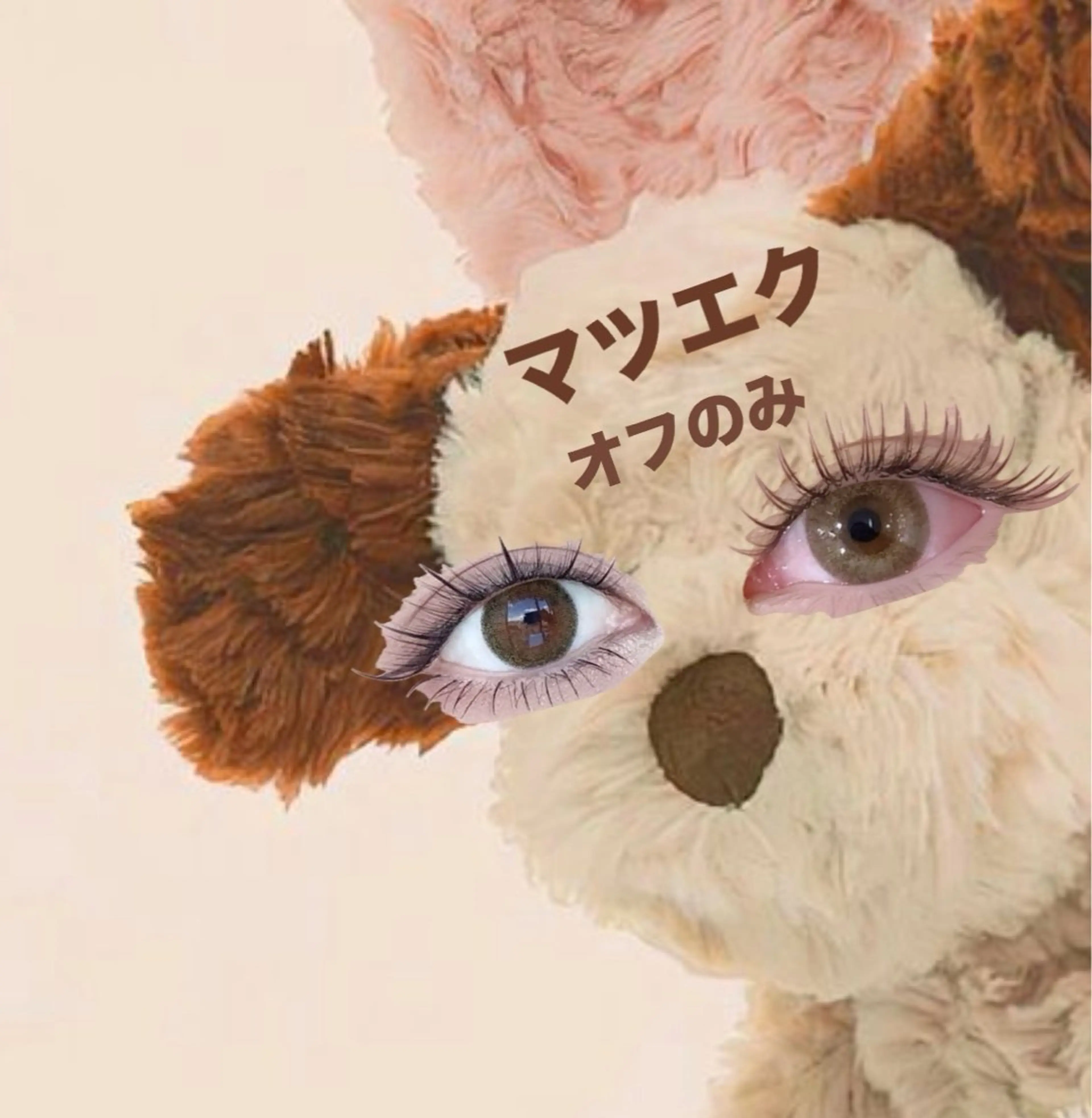 マツエク・マツパ 🩷ྀི中村 ほのか🧸🌷のマツエク・マツパデザイン