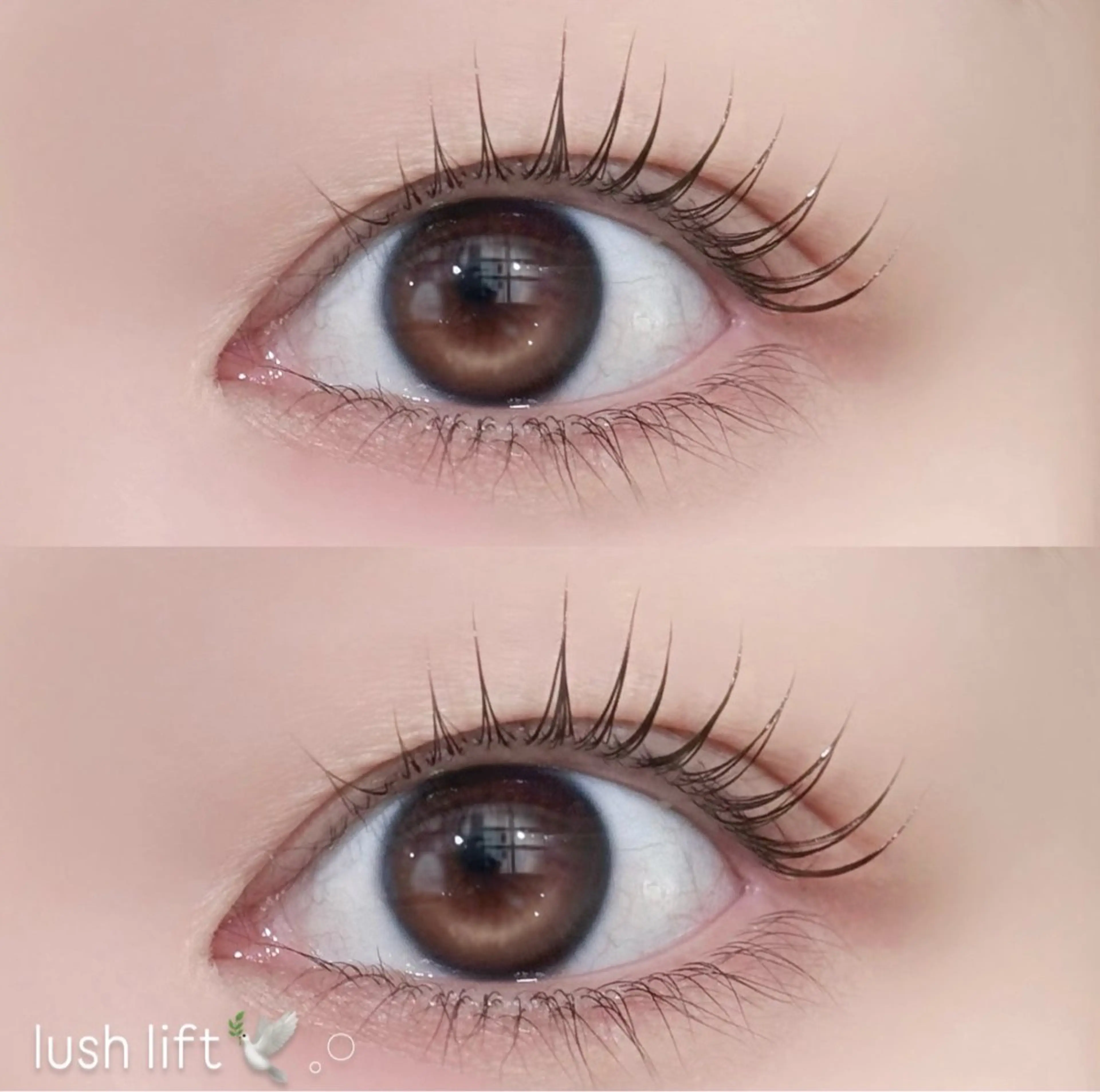 マツエク・マツパ Une fleur soraのマツエク・マツパデザイン