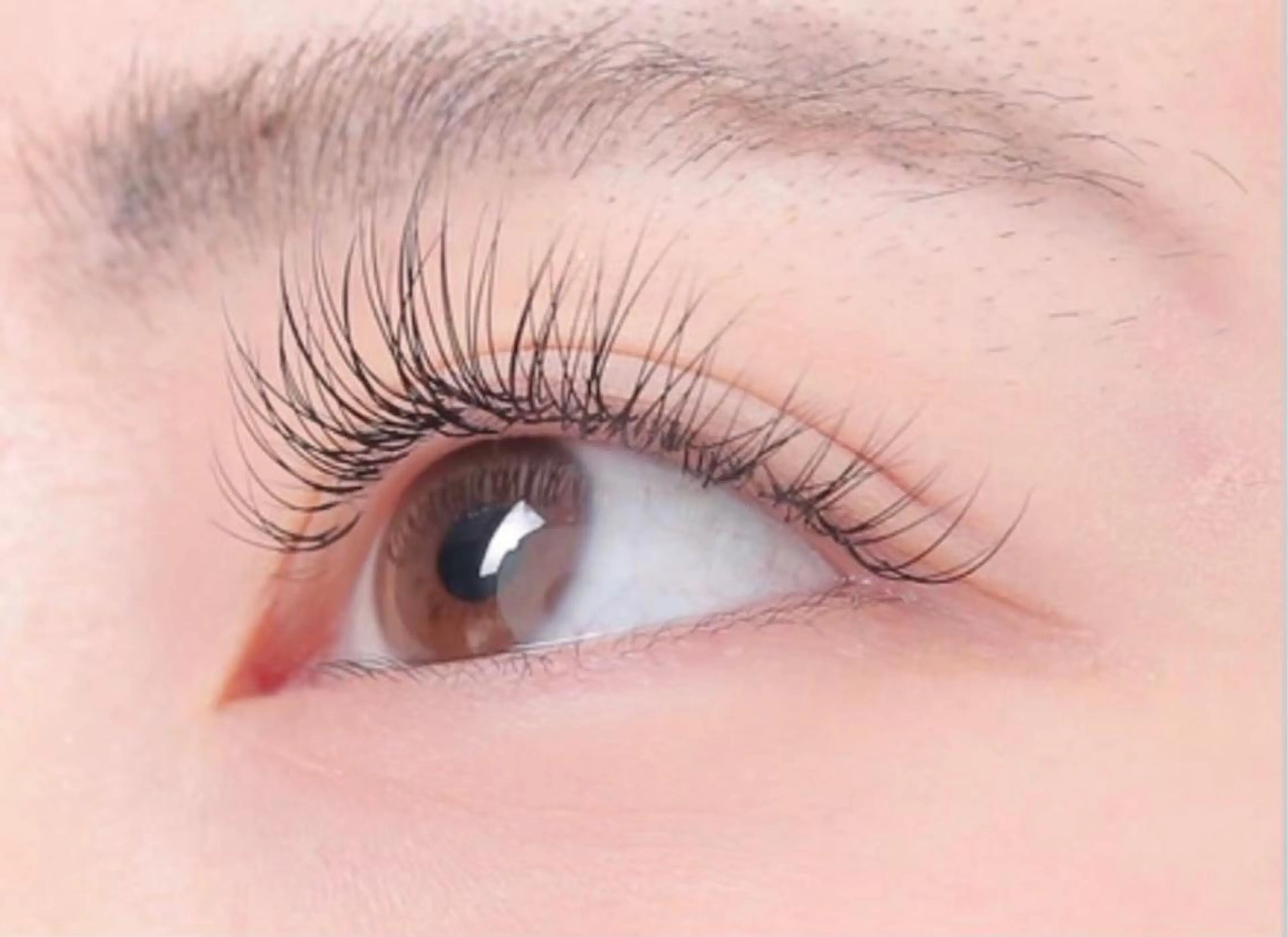 マツエク・マツパ レイヤー×顔周 り×髪質改善/MIUのヘアスタイル