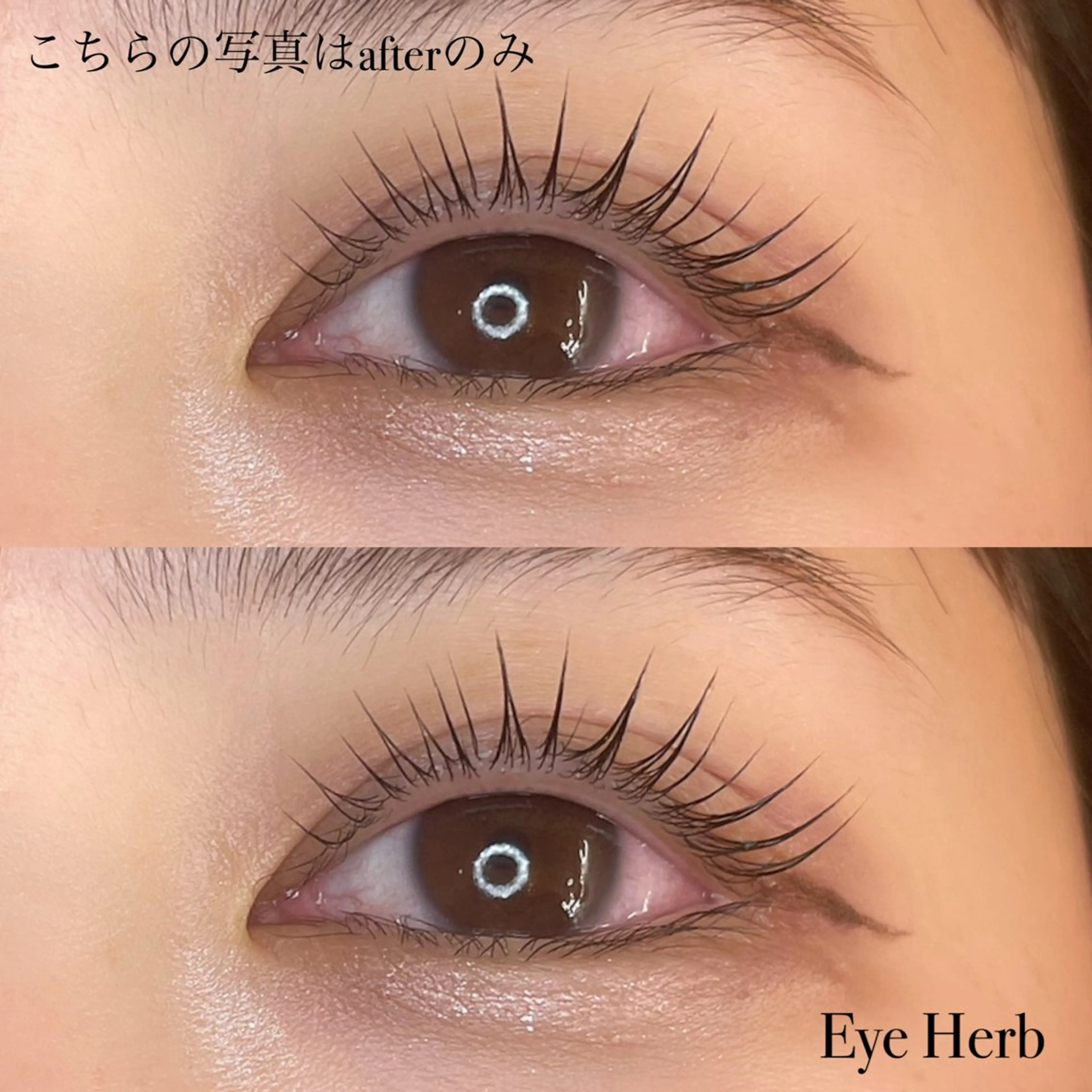 マツエク・マツパ パリジェンヌラッシュリフト Eye Herb beauty salon所属・♡ Mireiのマツエク・マツパデザイン
