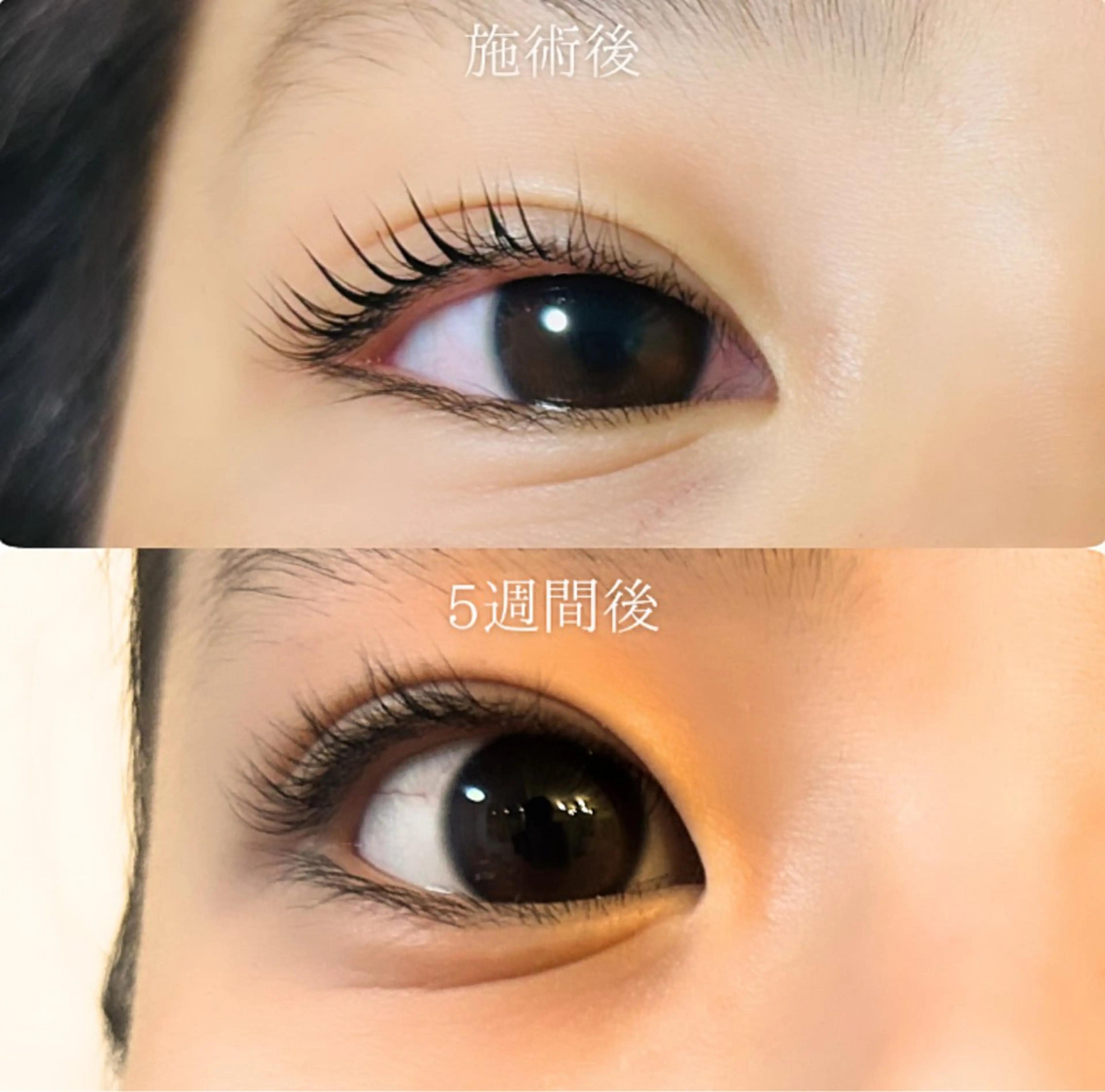 マツエク・マツパ 一重×まつ毛パーマ share salon JAM 八王子所属・髙橋 えりかのマツエク・マツパデザイン