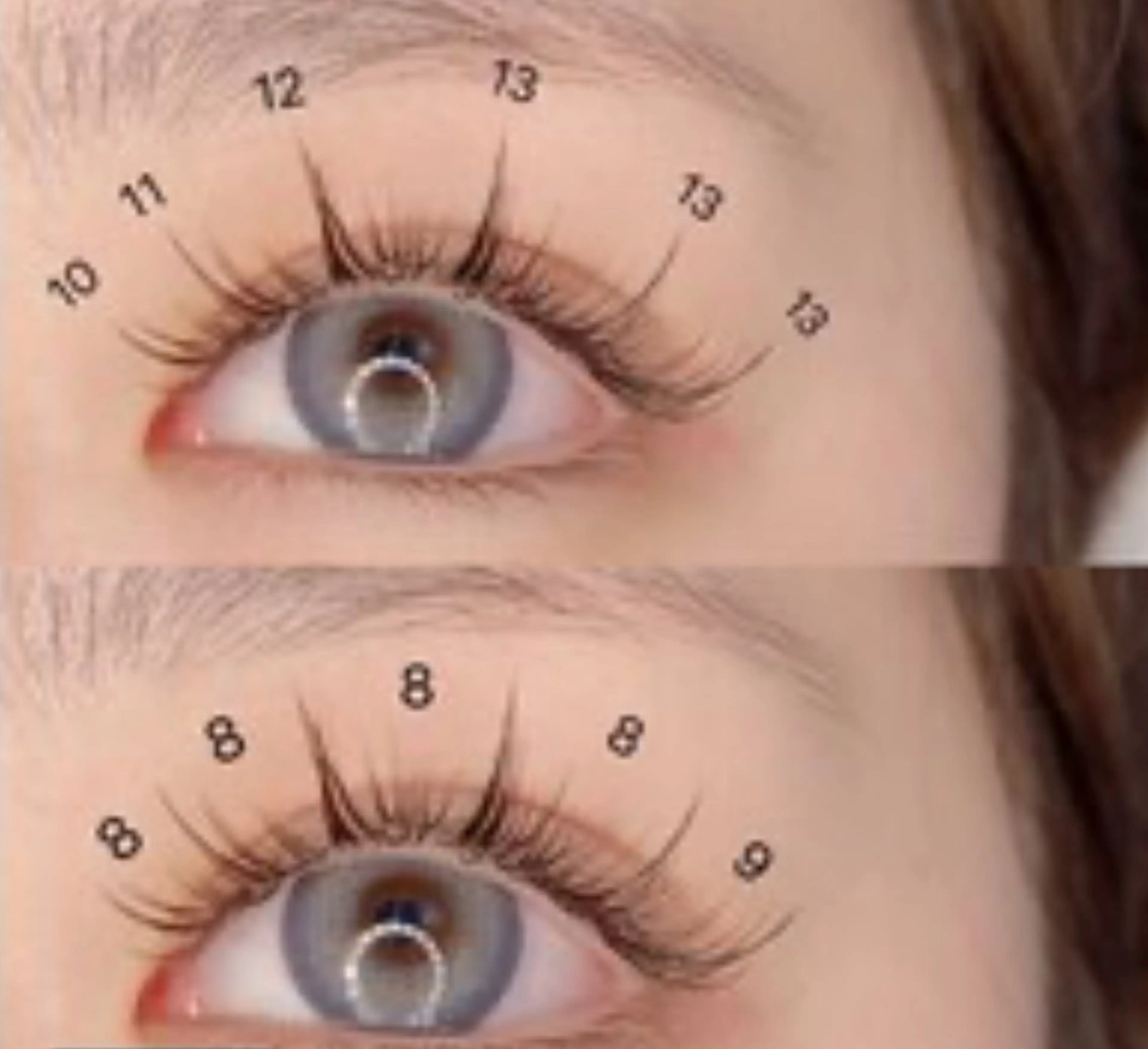 LED【 Hybridボリュームラッシュ】話題沸騰★ワンホン ナチュラル100束2980円の写真