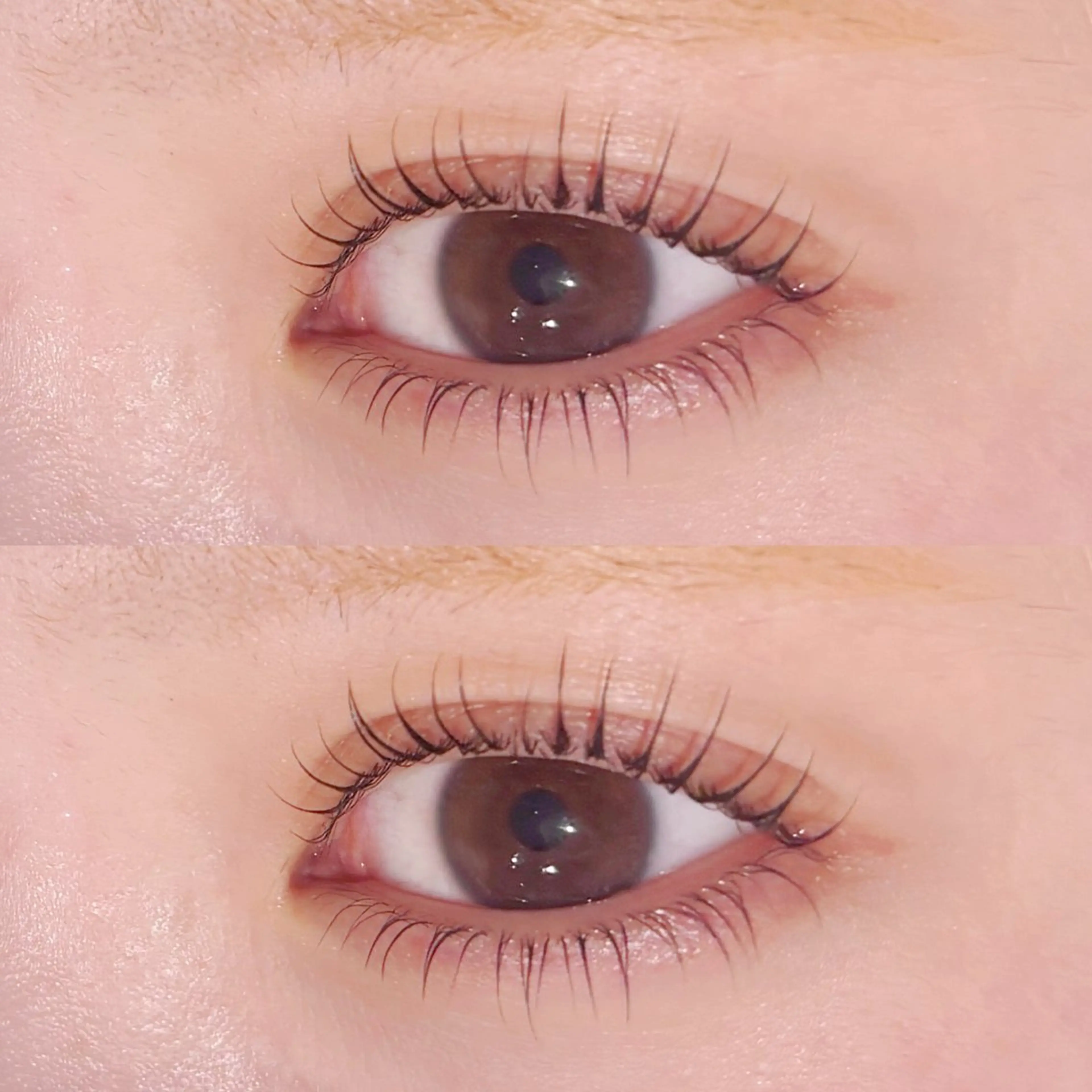 《🕊️ご新規様限定🕊️》下まつ毛パーマ🌸*･の写真