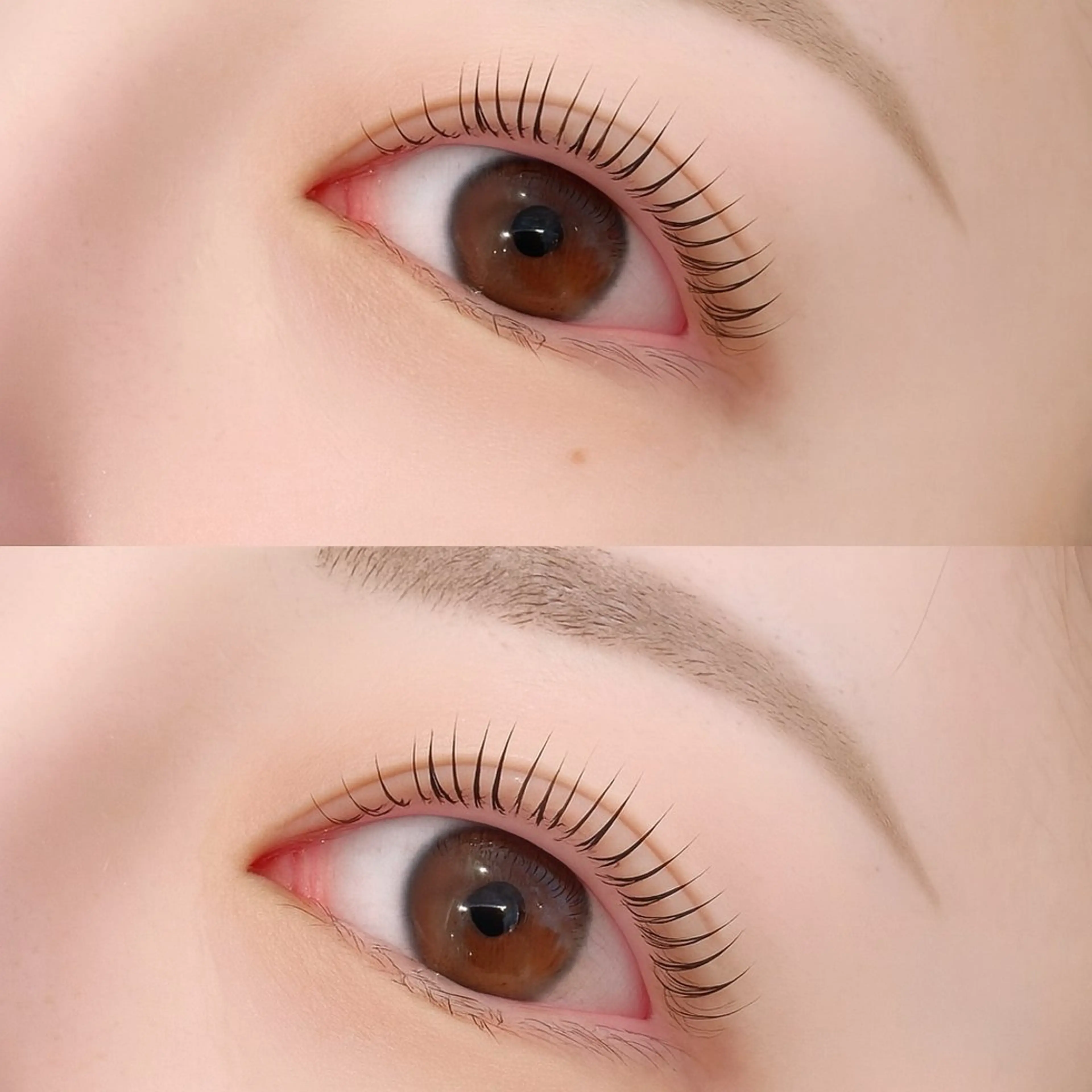 マツエク・マツパ 一重×まつ毛パーマ ホワイトアイ本厚木所属・アイブロウモデル 募集⭐️川内の眉毛・アイブロウイメージ