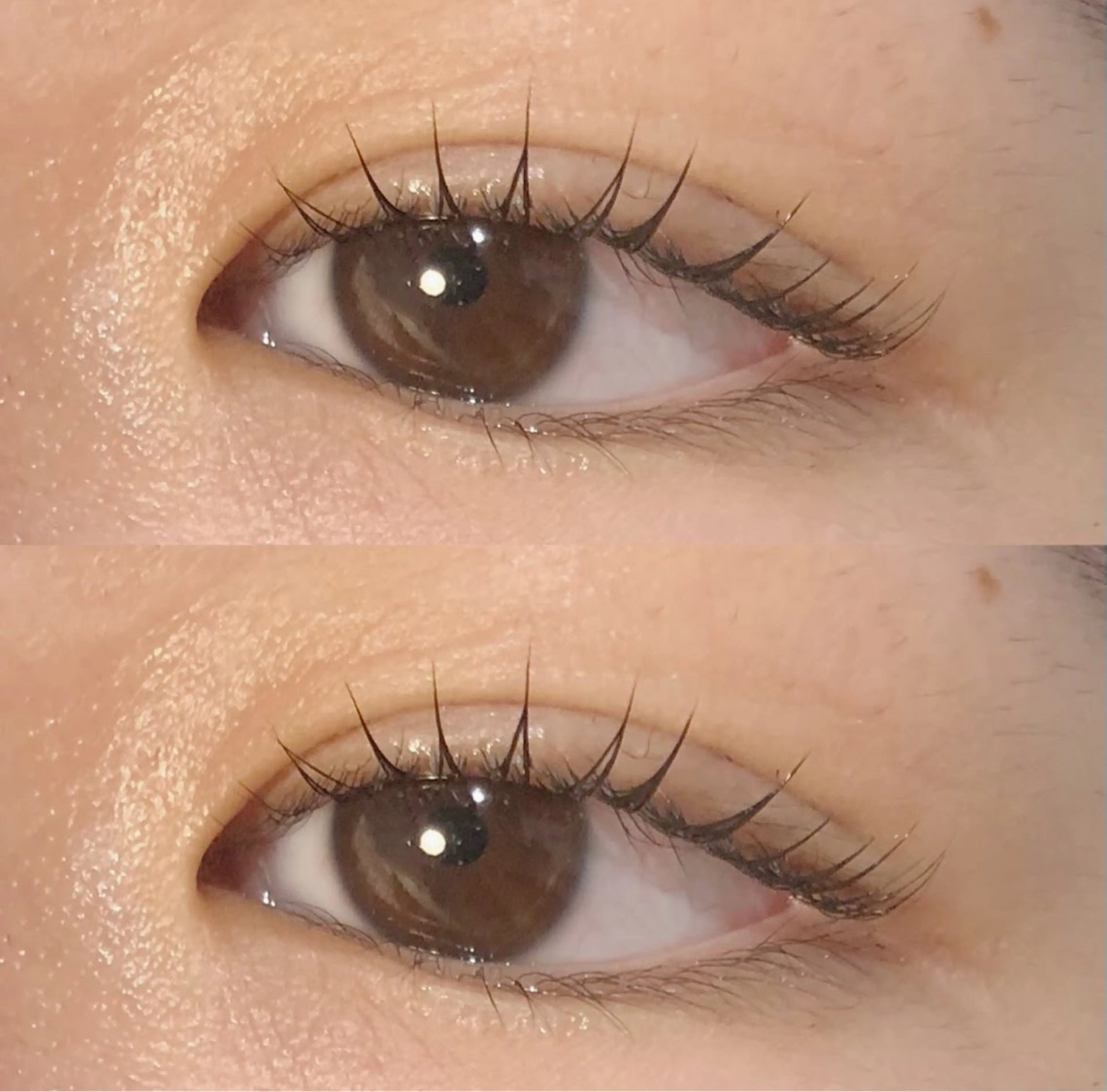 マツエク・マツパ ayano🐾 eightのマツエク・マツパデザイン