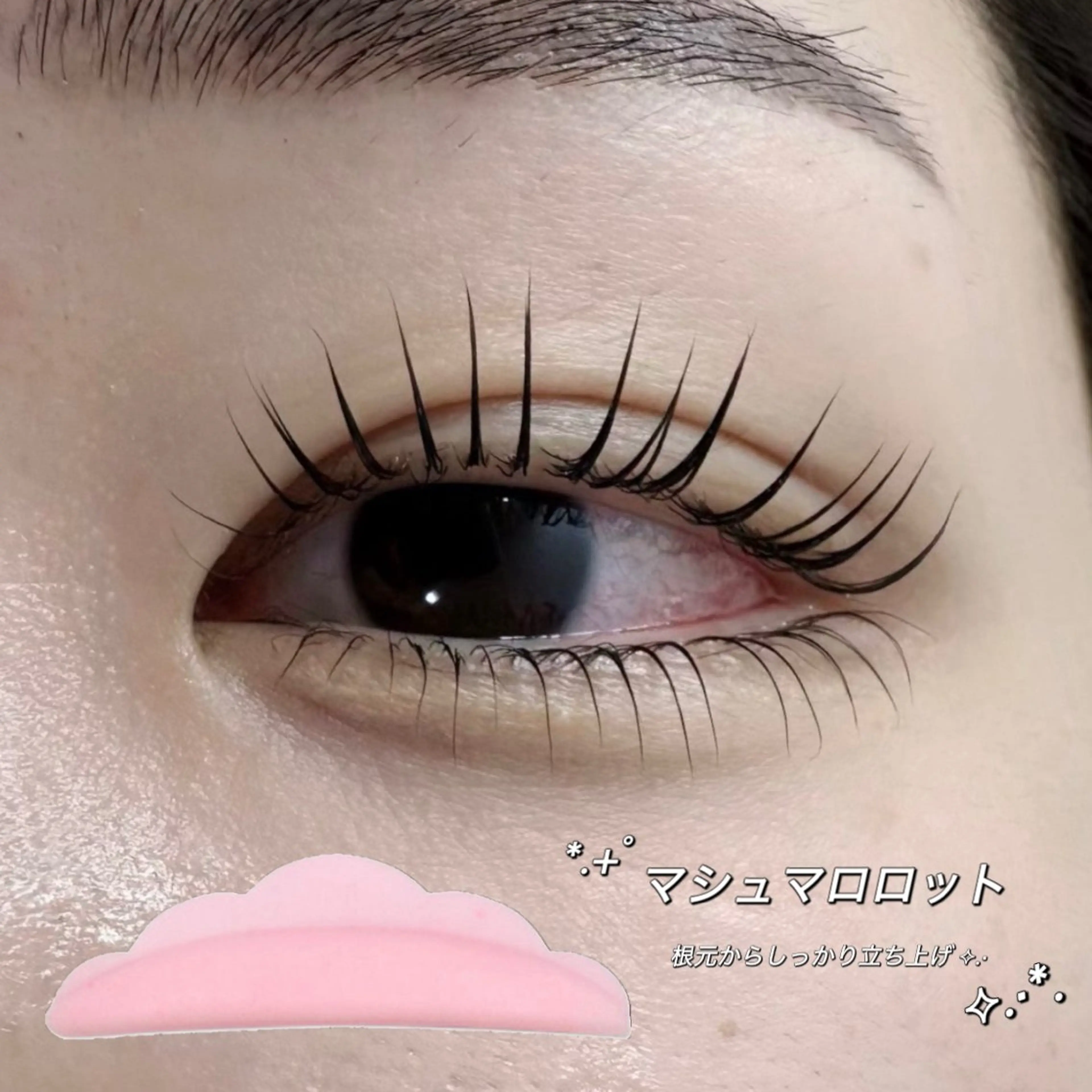 【まつげパーマ★立ち上げ×微カール】パリジェンヌ¥3680の写真